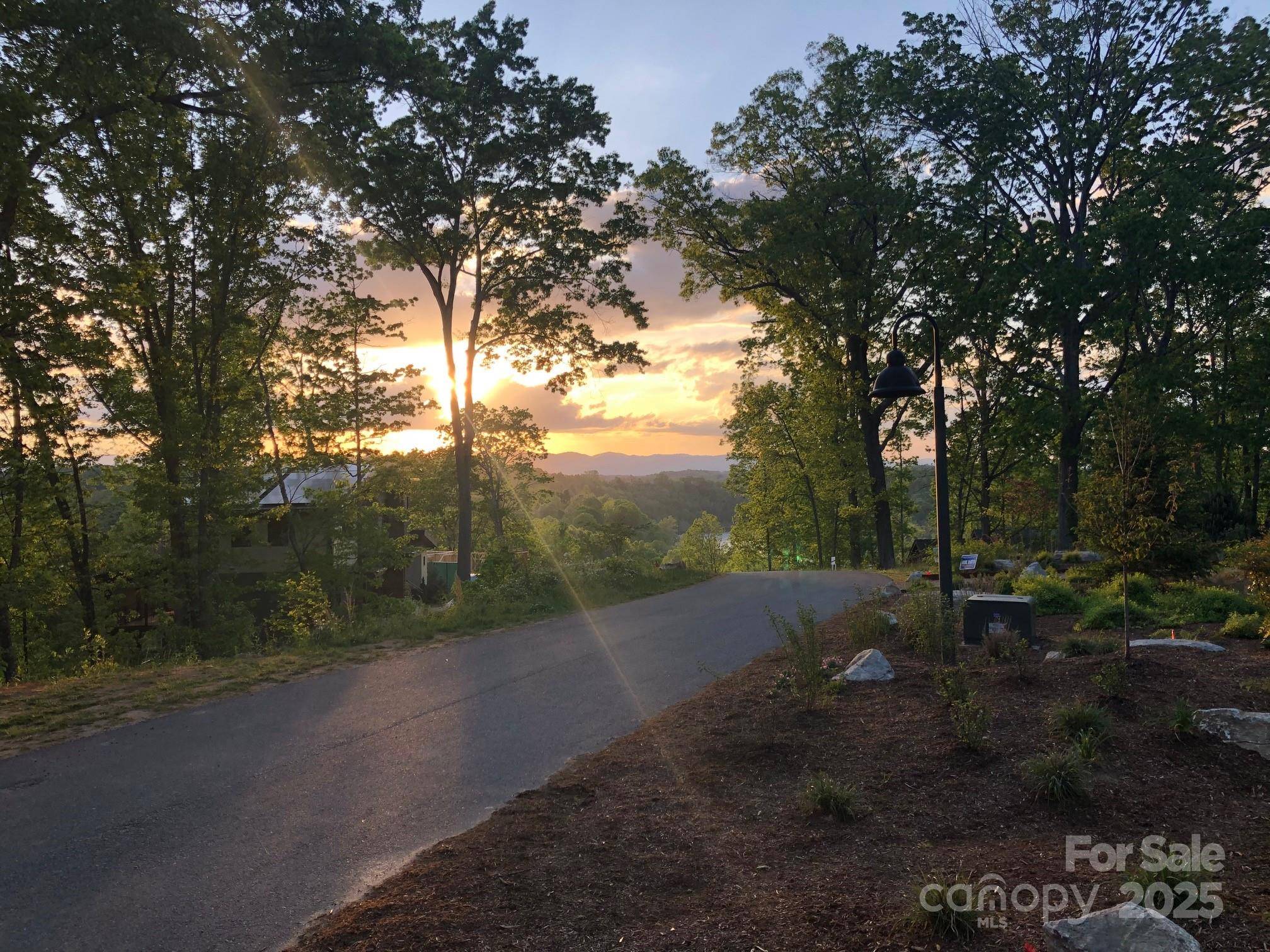 Asheville, NC 28804,17 Tulip Poplar TRL #30