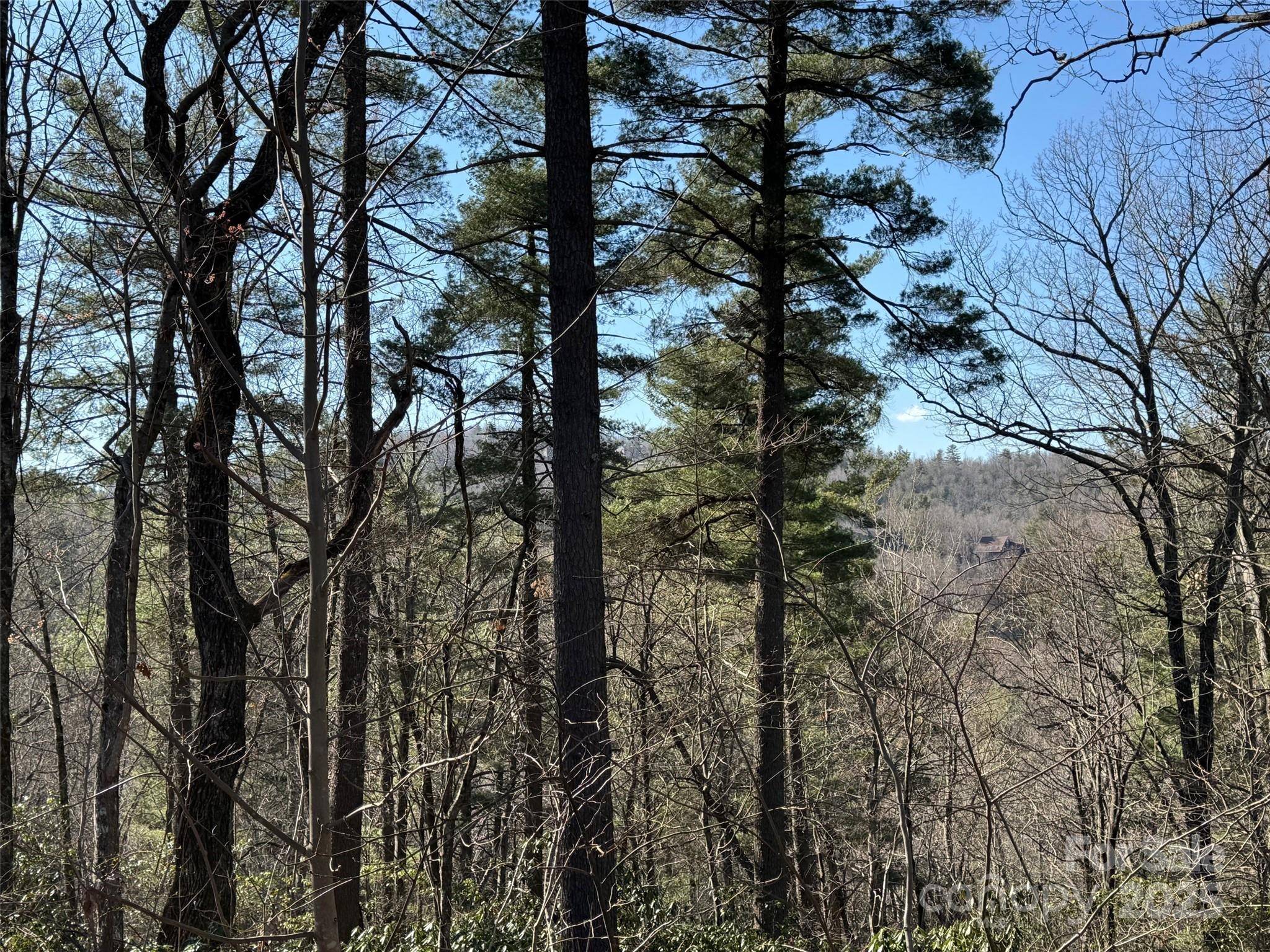 Flat Rock, NC 28731,321 Silent Rise LN #37