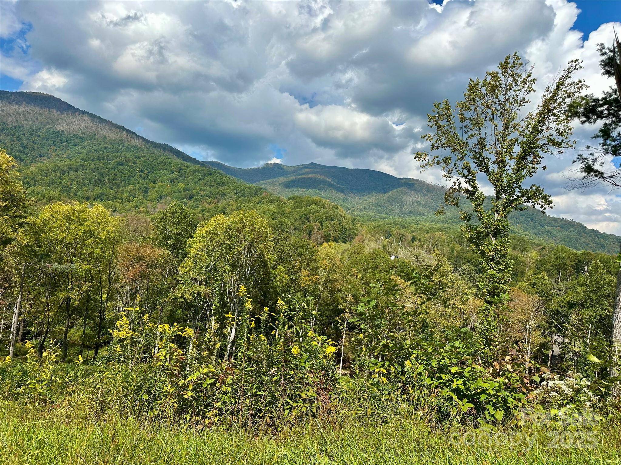 Bakersville, NC 28705,000 Pumpkin Patch RD