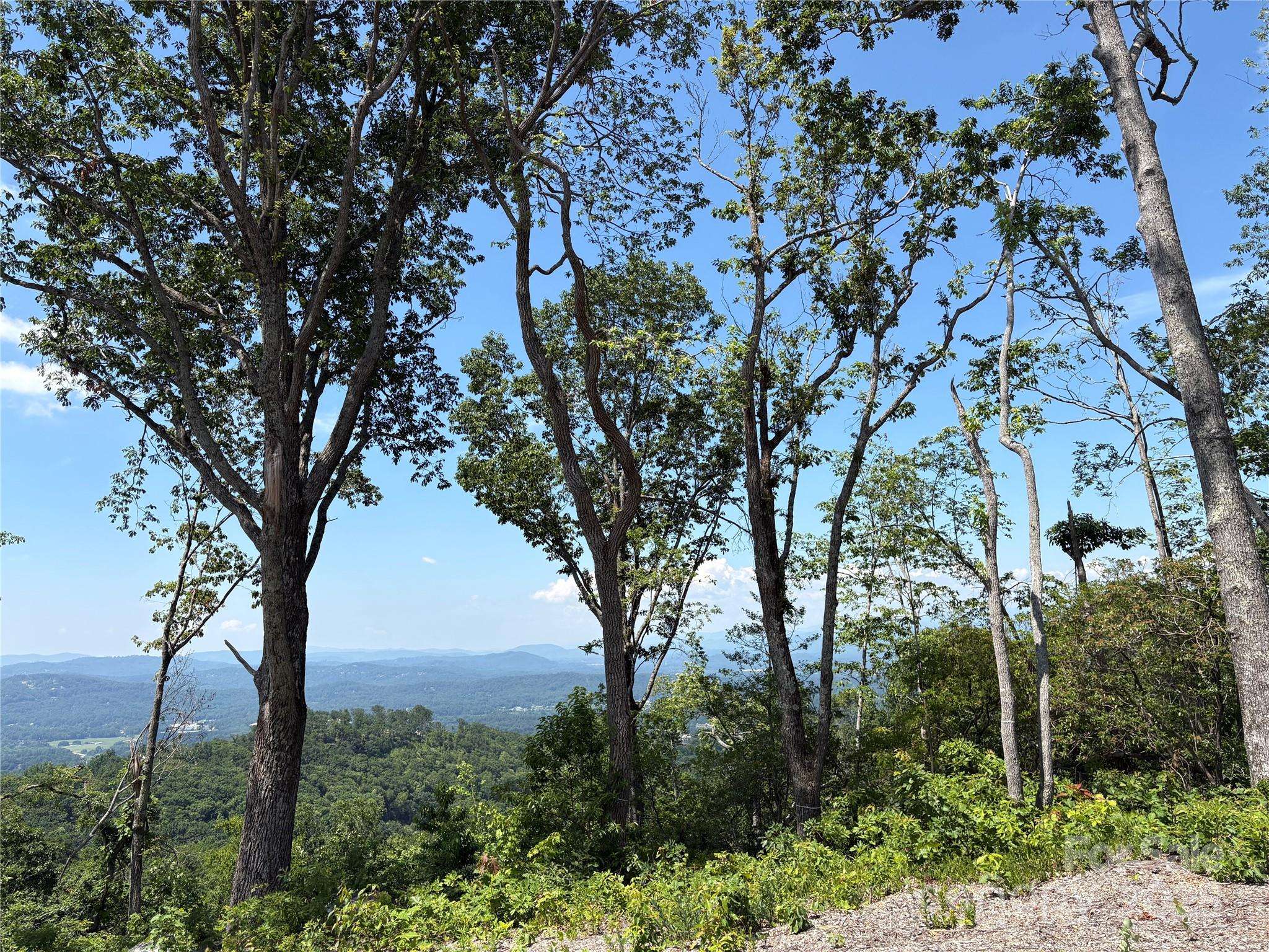 Fletcher, NC 28732,Lot 50 Mountain Grove LN #50