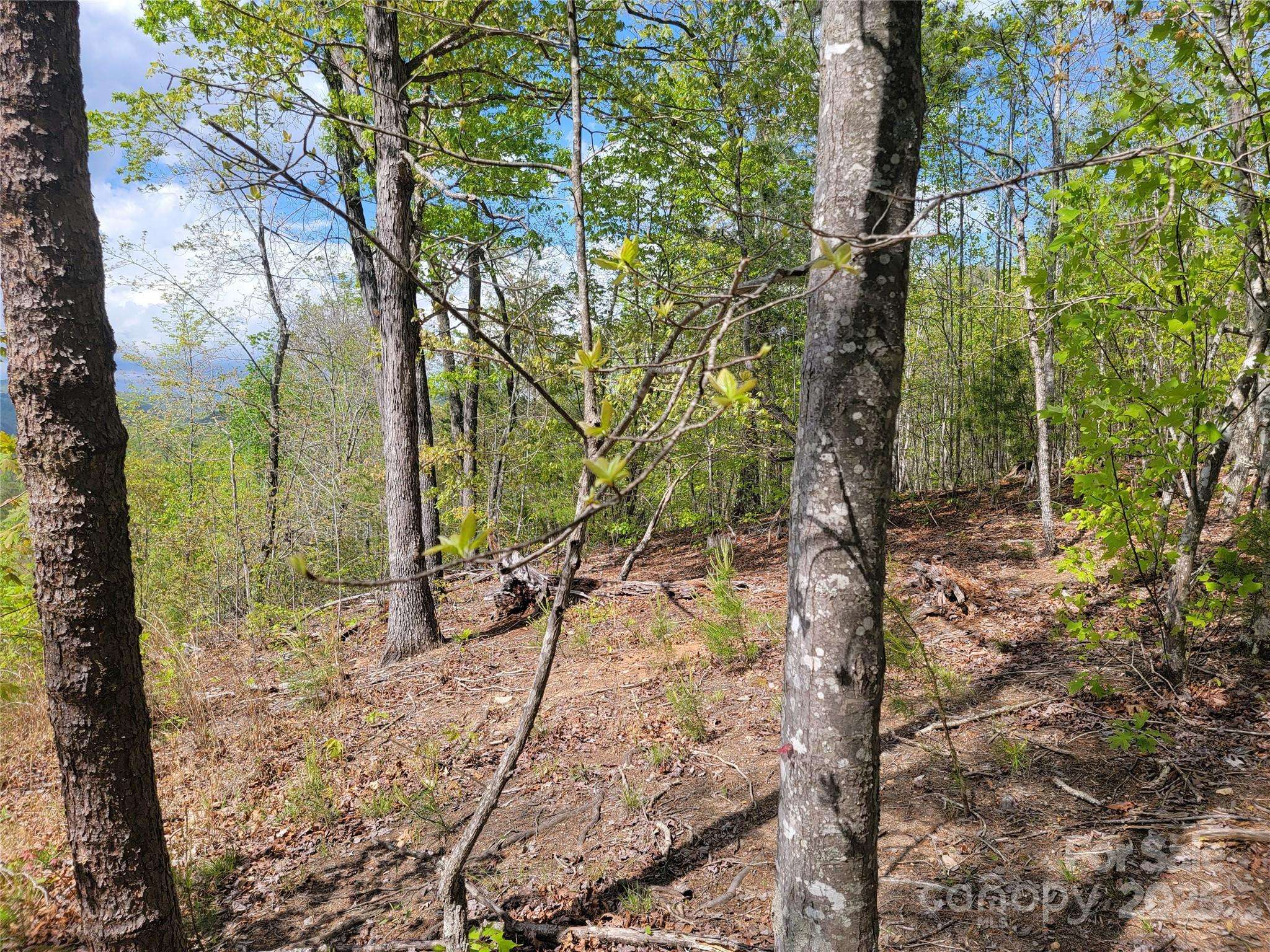 Union Mills, NC 28167,0 Shire LN