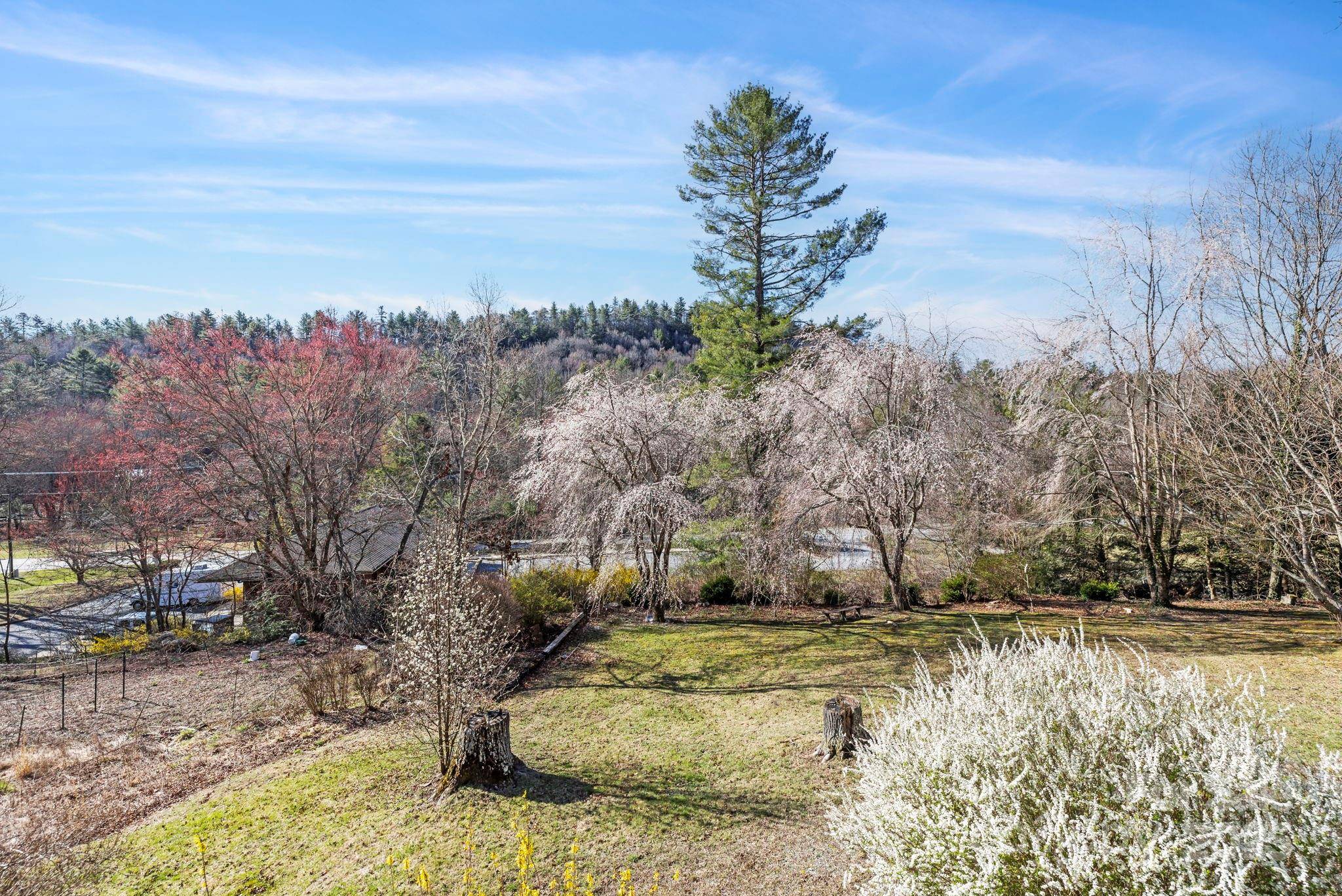 Cedar Mountain, NC 28718,81 Corn DR