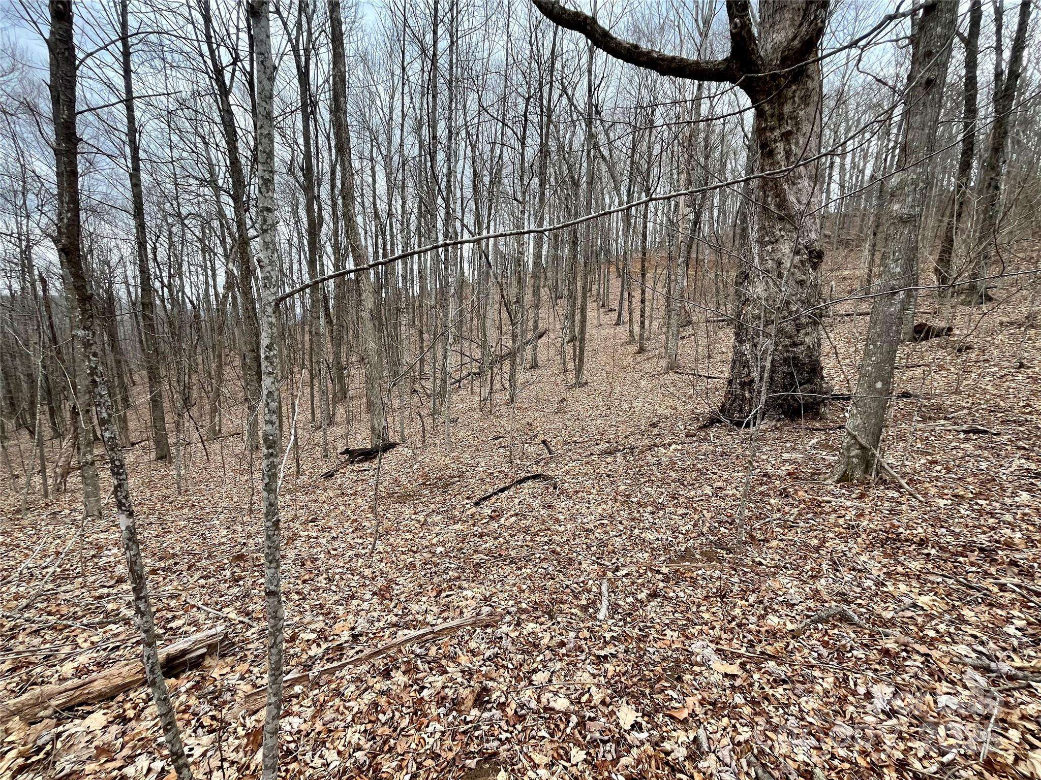 Spruce Pine, NC 28777,TBD Alderfly CT