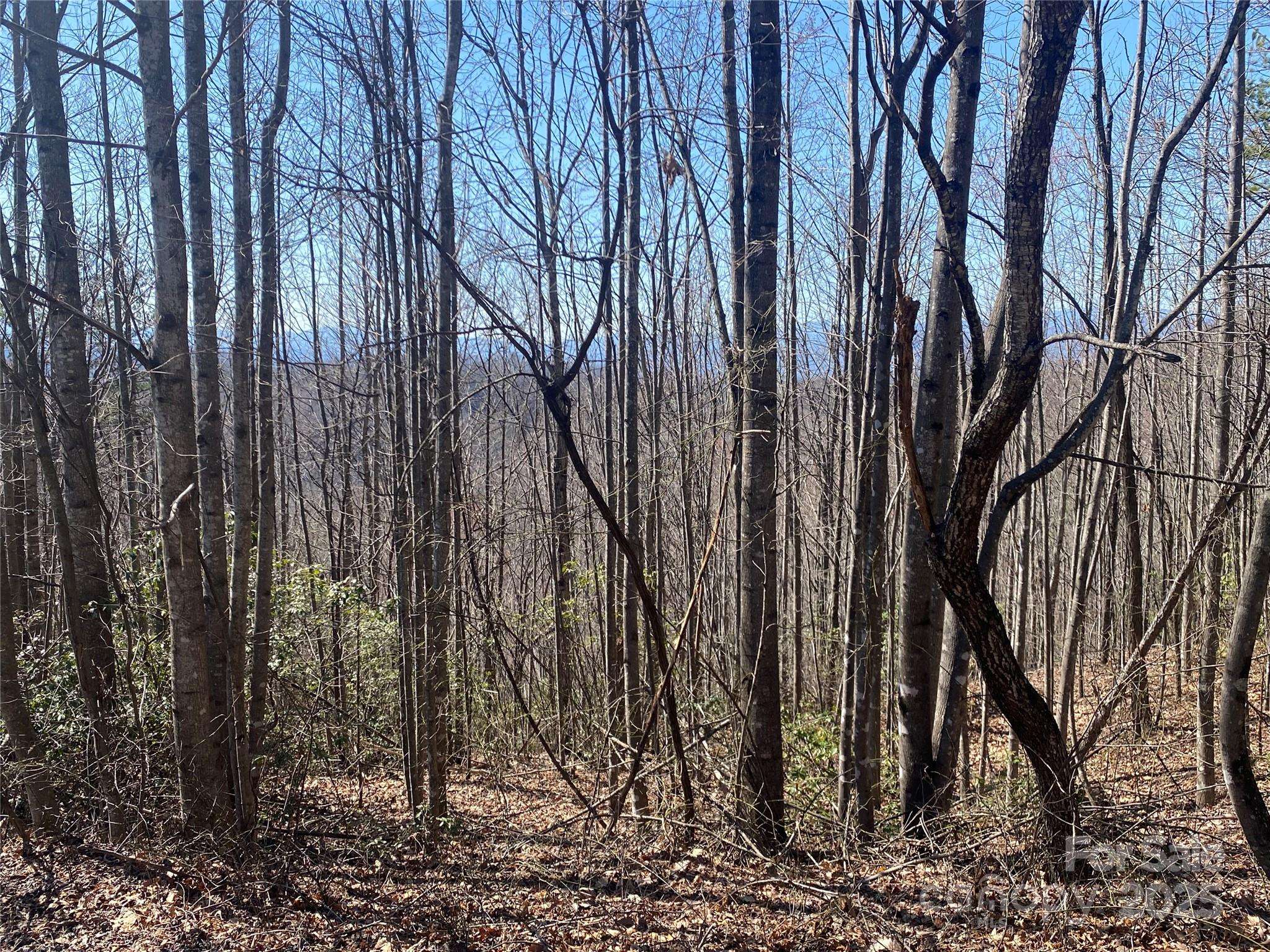 Marion, NC 28752,Lot 72 Mountain Crest DR S