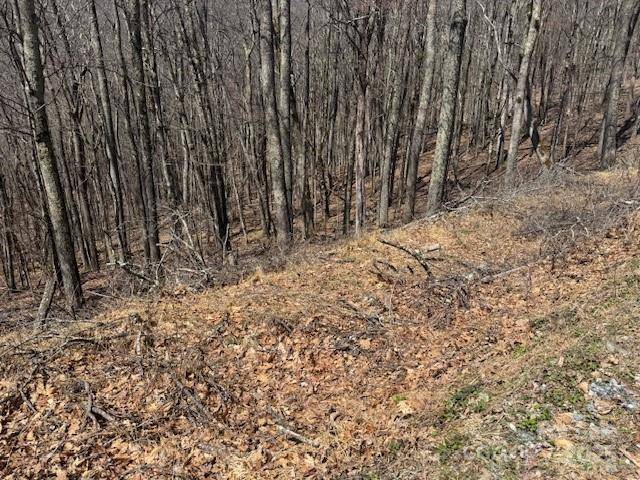 Mars Hill, NC 28754,261 Grouse Thicket LN