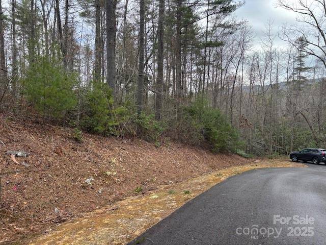 Rosman, NC 28772,Lot 20 Trillium LN