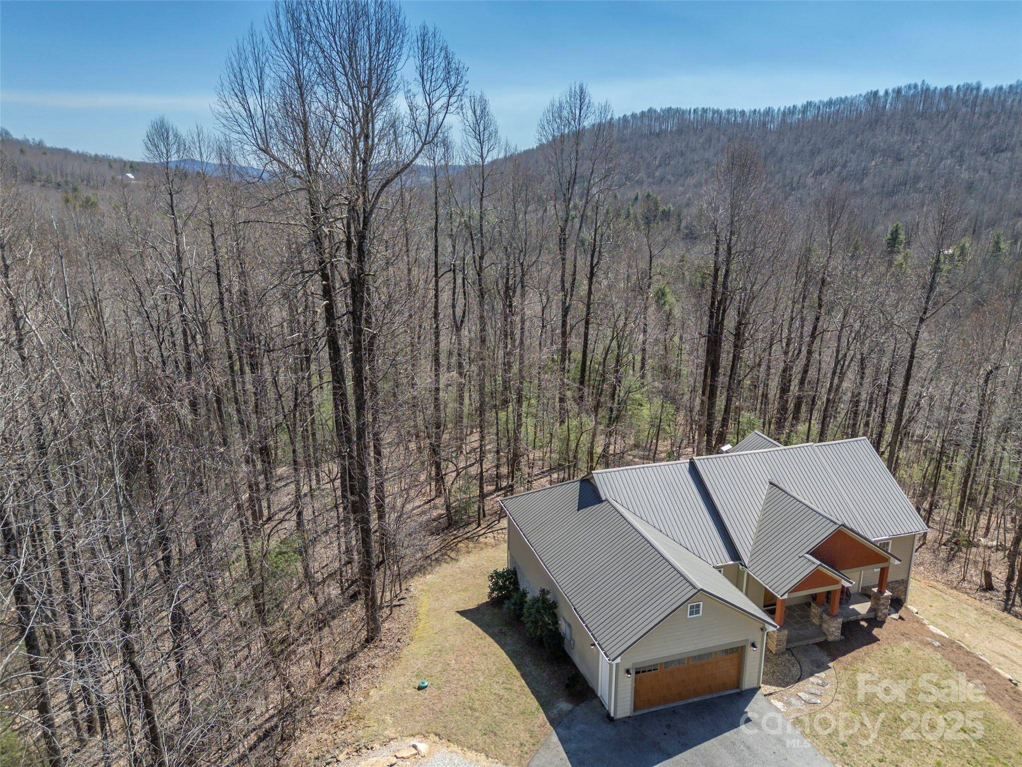 Zirconia, NC 28790,6753 Pinnacle Mountain RD