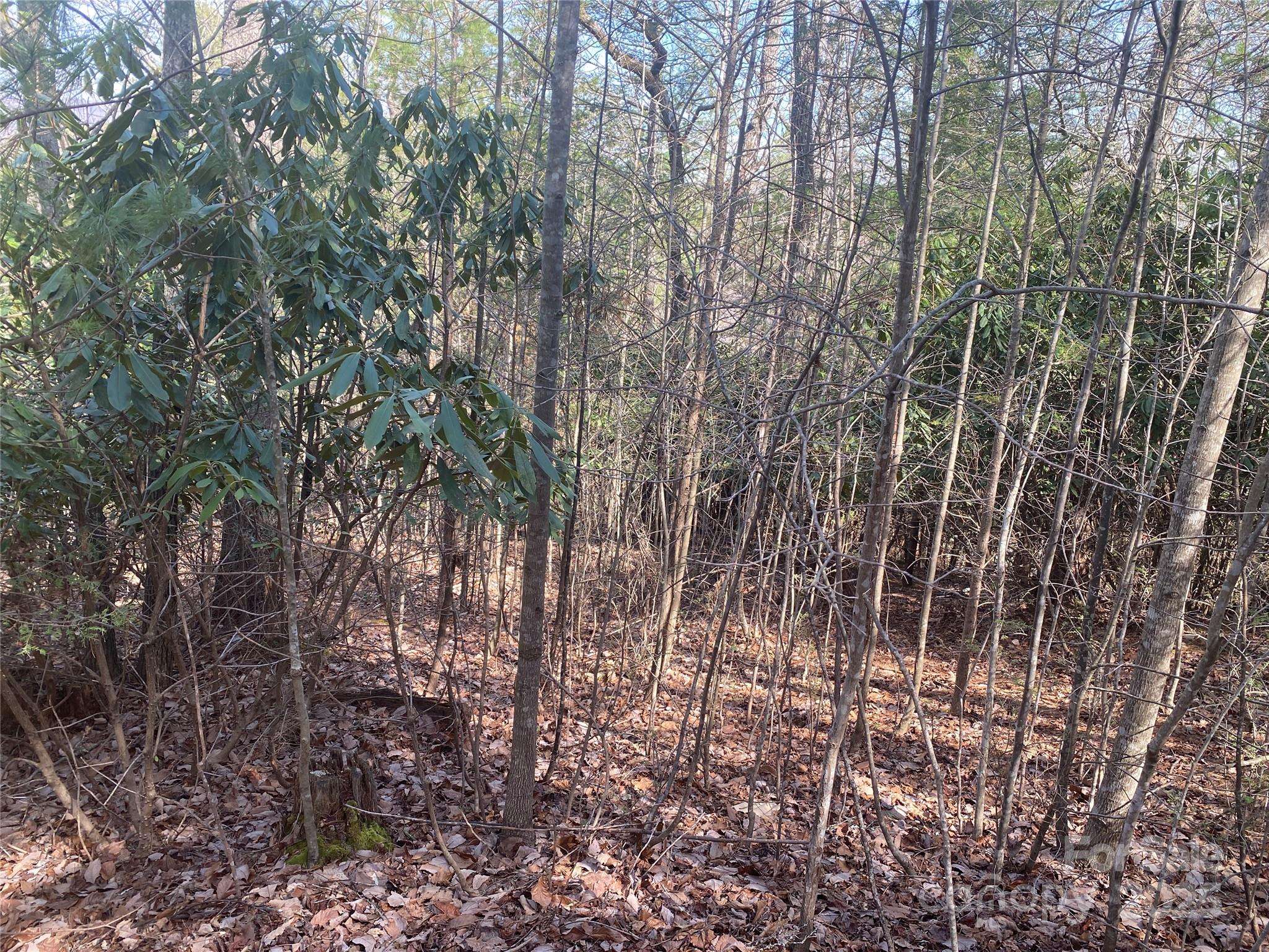 Nebo, NC 28761,152 Dockside DR