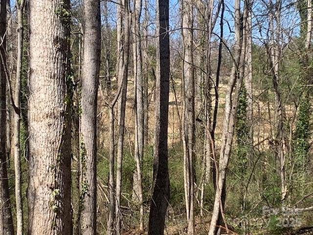 Hendersonville, NC 28739,3 LOTS COUNTRY CLUB RD #A,B,C
