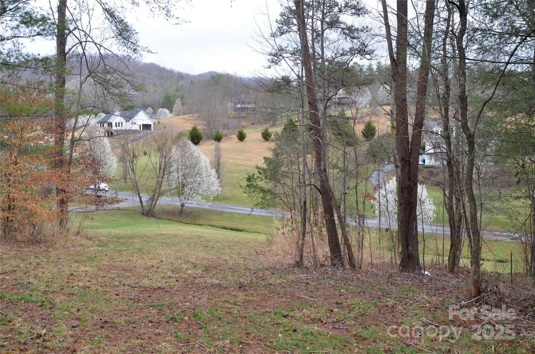 Weaverville, NC 28787,63 Ivy Meadows DR #21