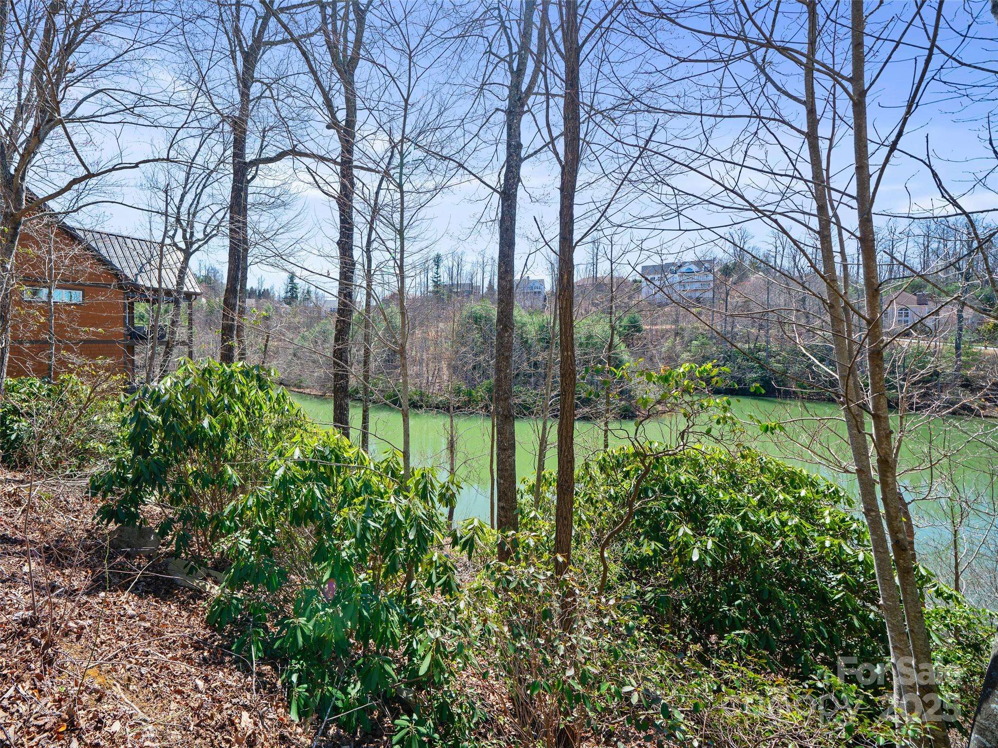Hendersonville, NC 28791,82 Narrows Run LOOP