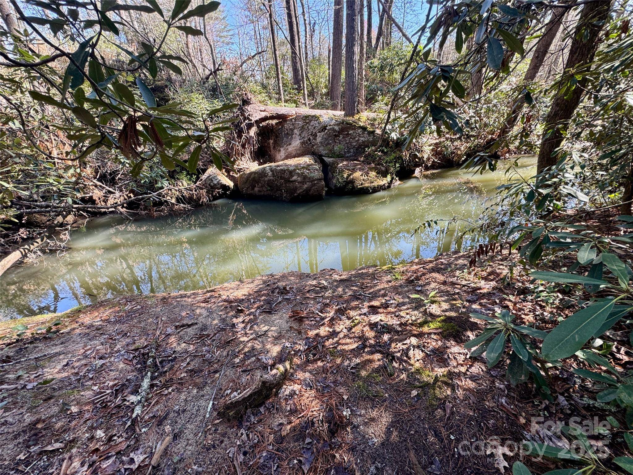 Cedar Mountain, NC 28718,45 Stones Lake RD
