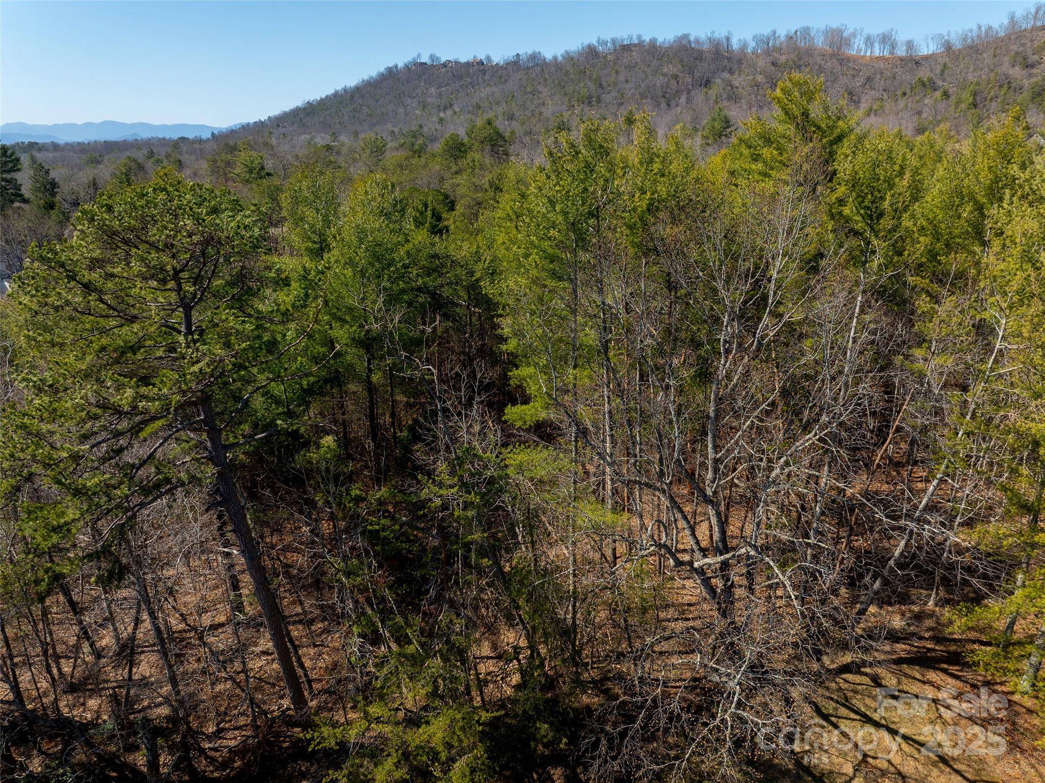 Weaverville, NC 28787,85 Union Chapel RD