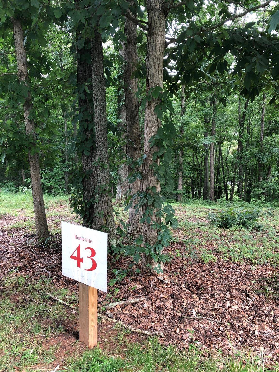 Asheville, NC 28804,45 Sweet Fern Pkwy #43