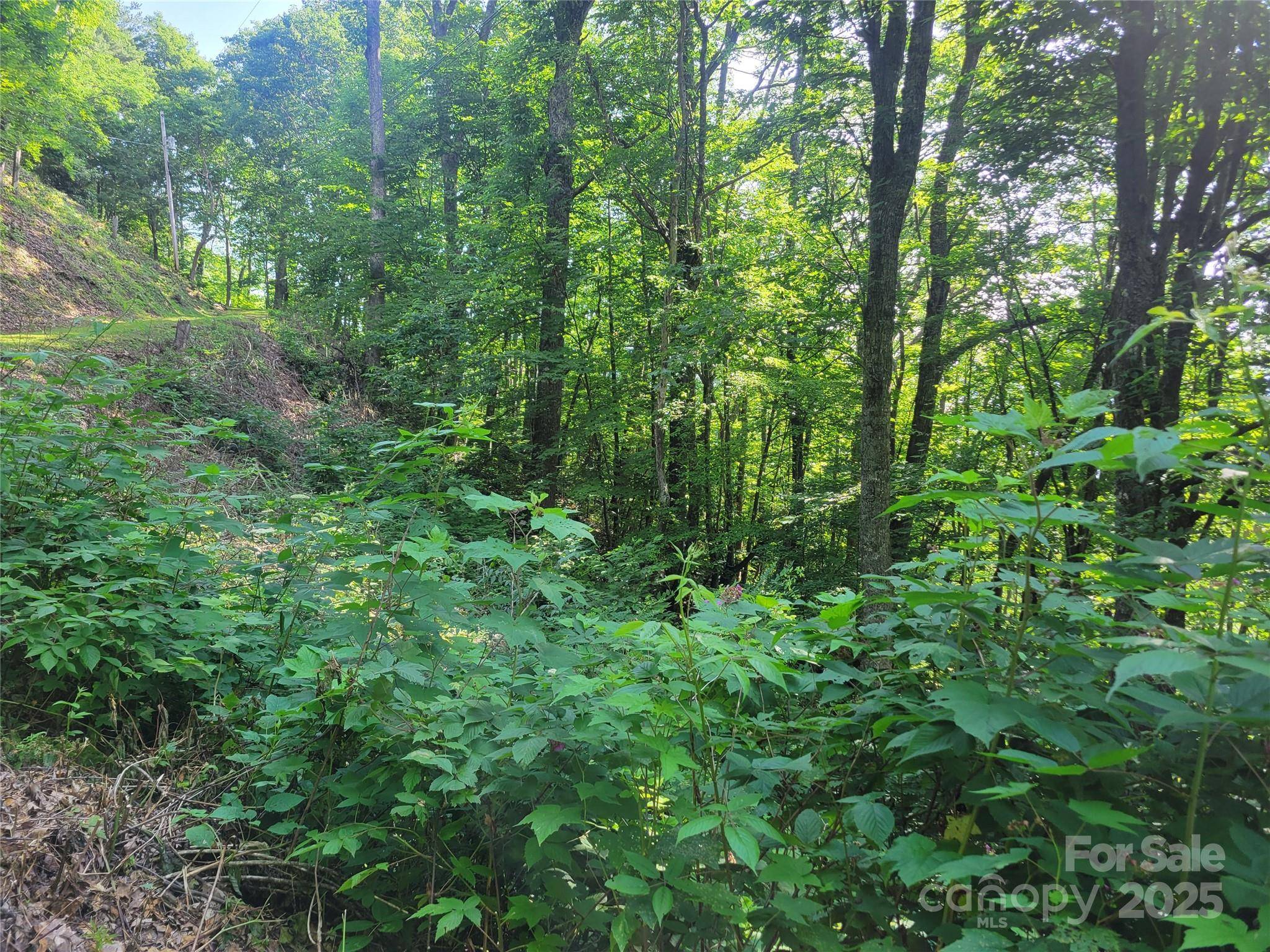 Maggie Valley, NC 28751,400 Mountain Laurel RD #57