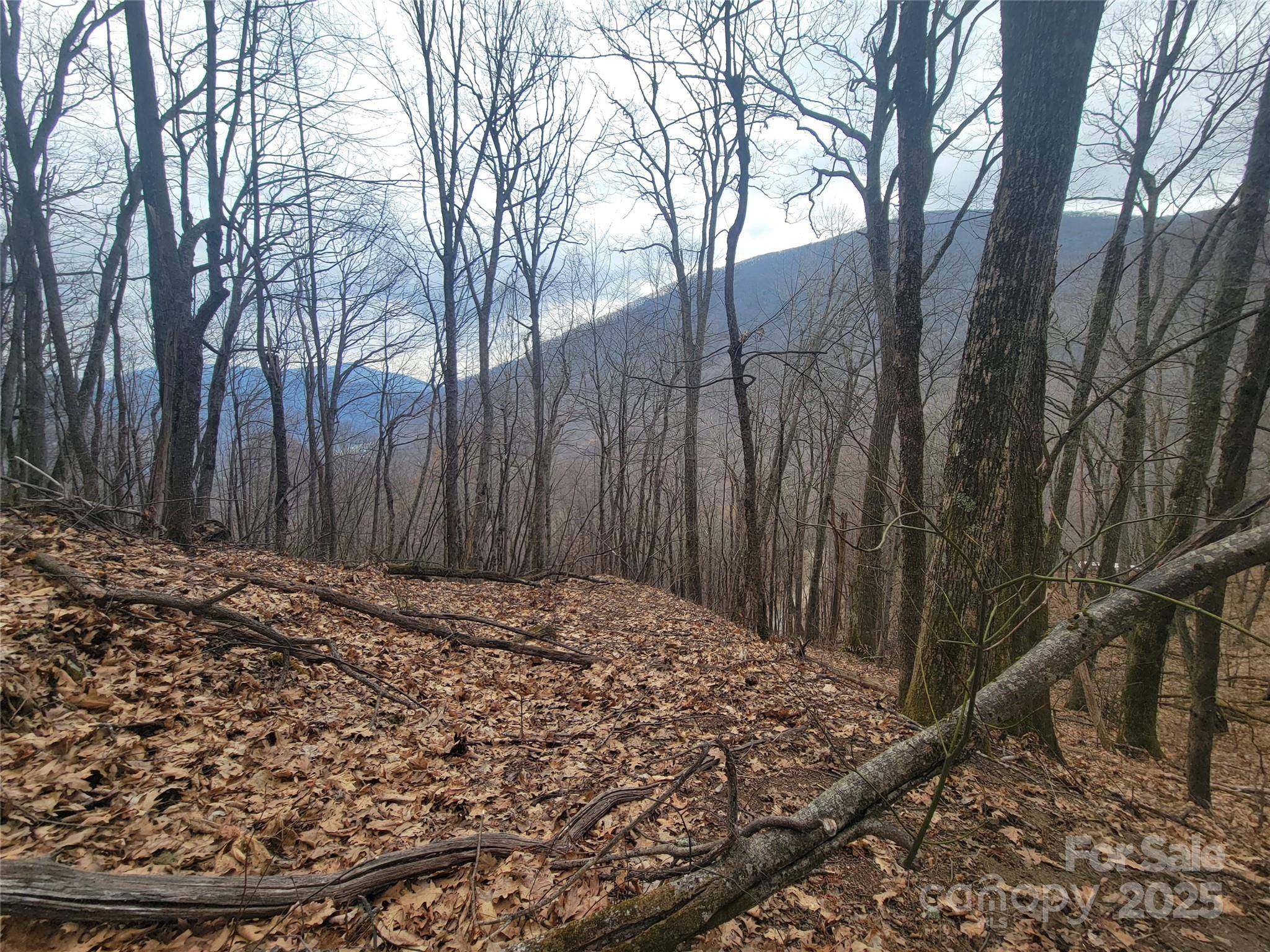 Maggie Valley, NC 28751,400 Mountain Laurel RD #57