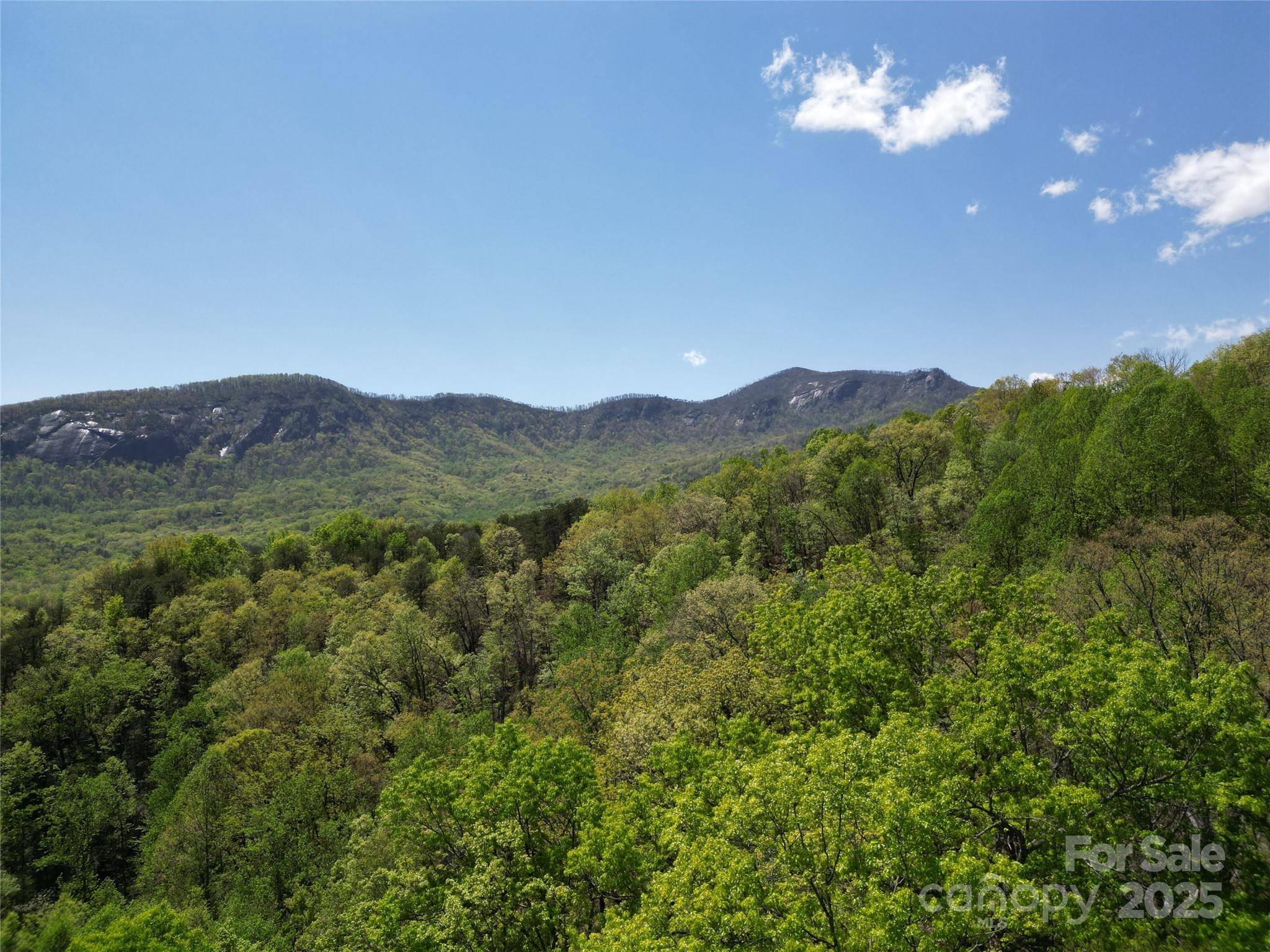 Lake Lure, NC 28746,Lot 114 Summit CT