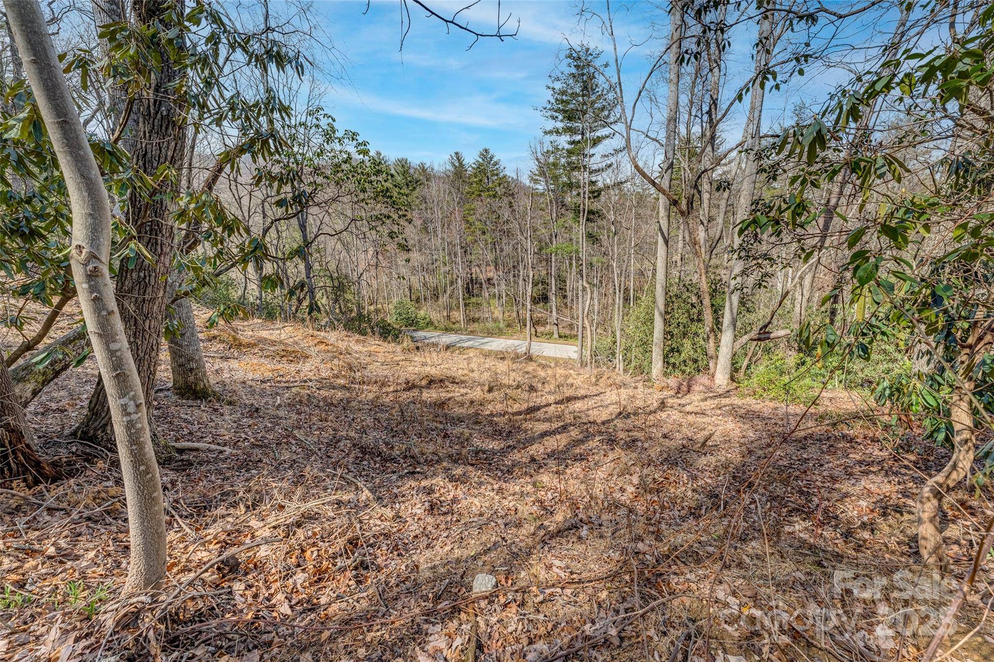 Arden, NC 28742,99999 Christa LN #3