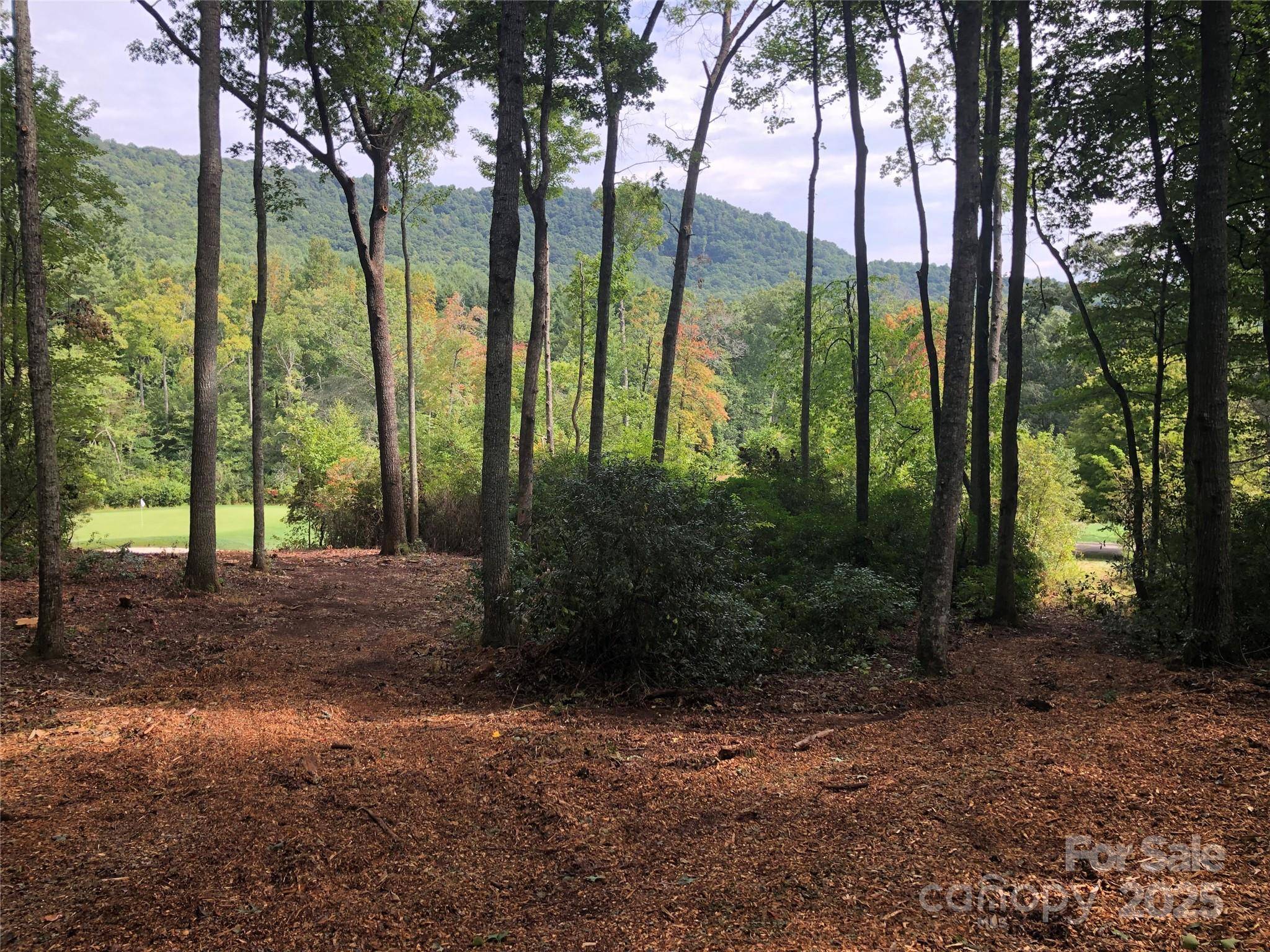 Arden, NC 28704,1304 Fawn Meadow WAY