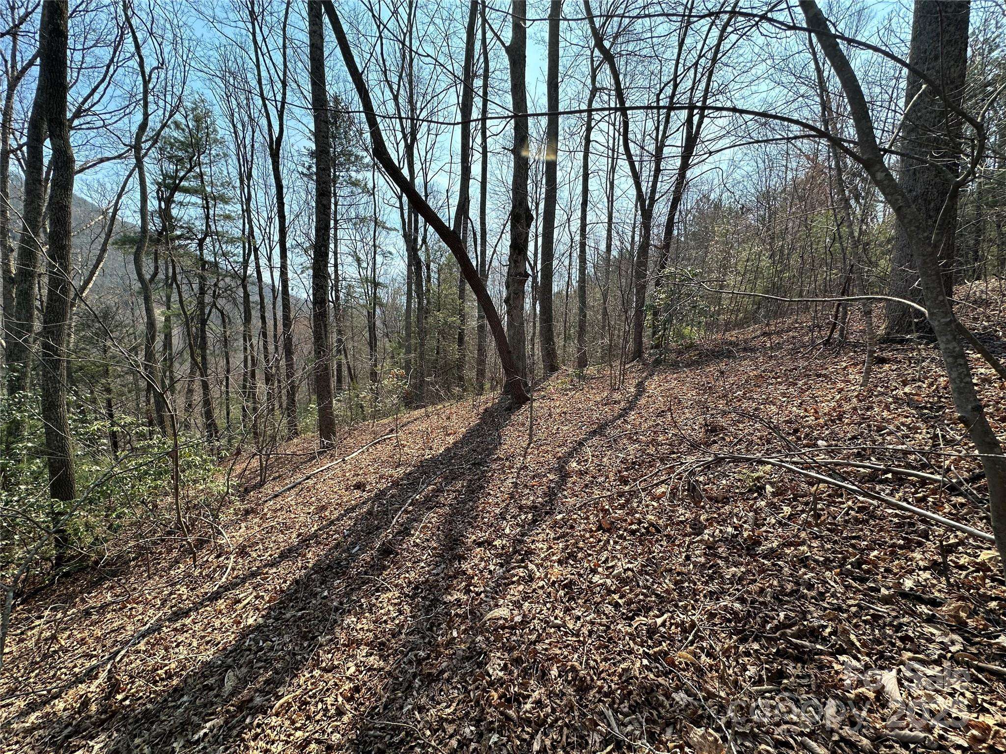 Hendersonville, NC 28792,TBD Wood Stone DR #14