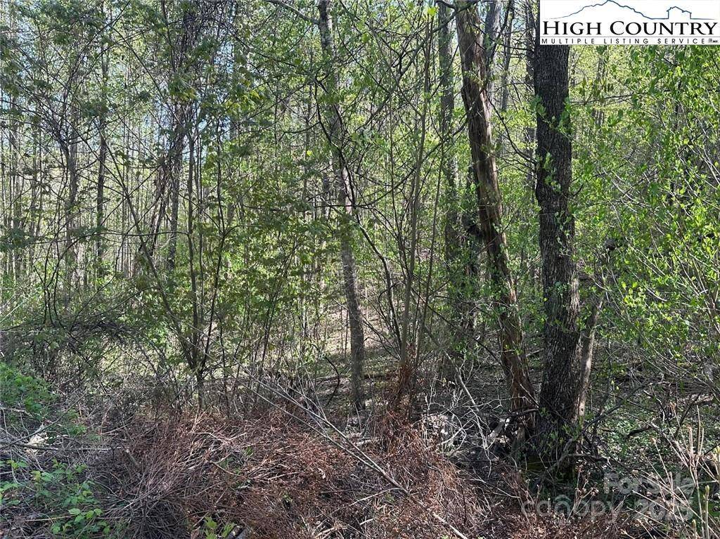 Jefferson, NC 28640,TBD Quail Hollow DR #27