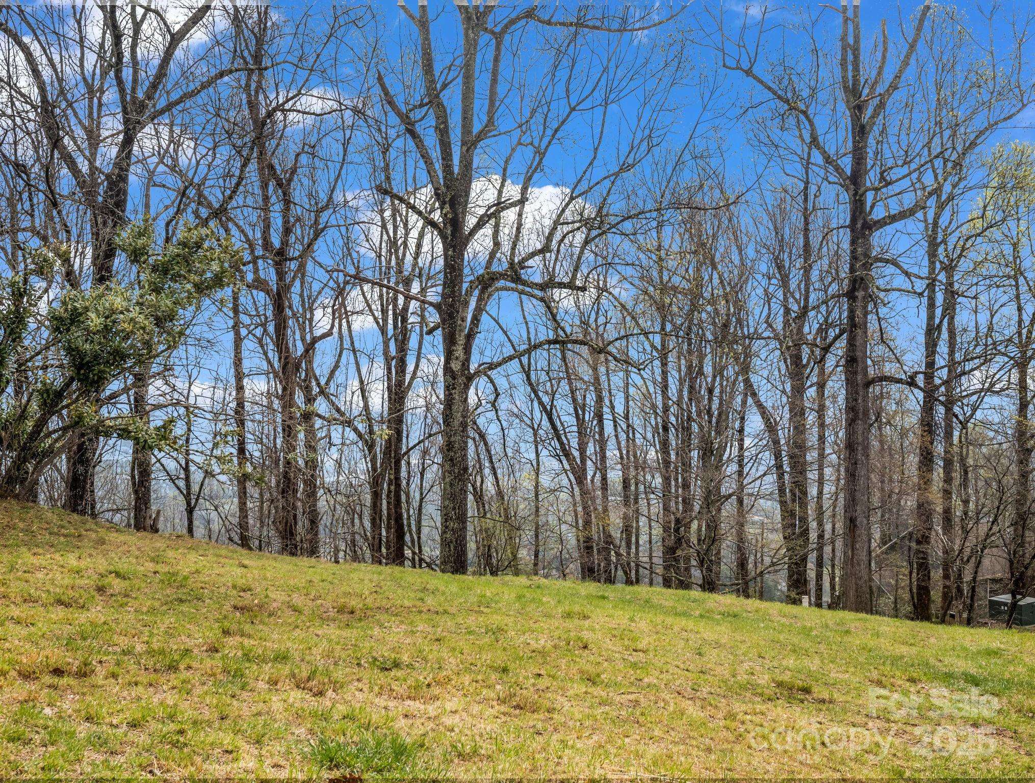 Mills River, NC 28759,5 Chestnut Top CIR