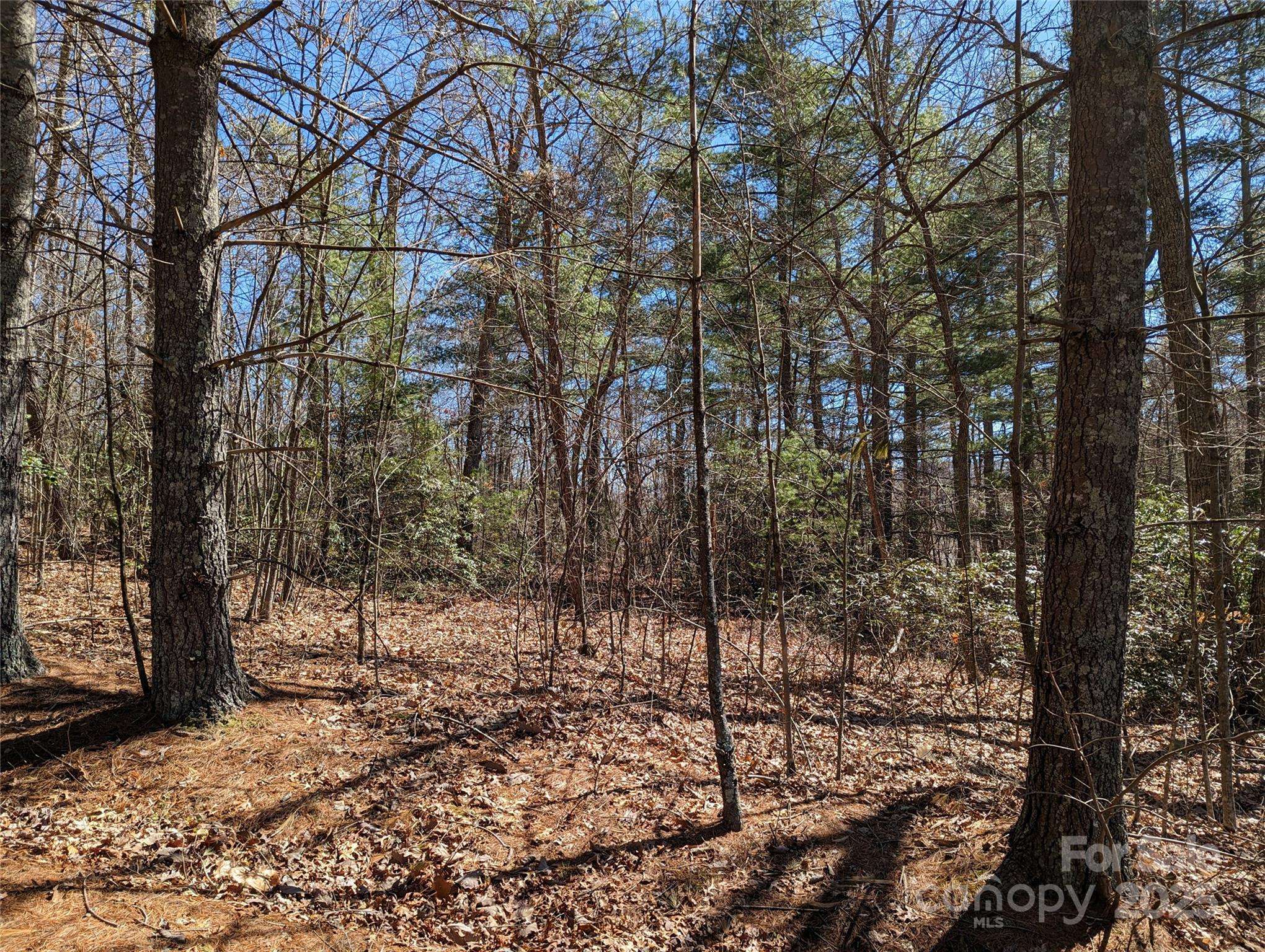 Black Mountain, NC 28711,Lot 2 Chinquapin HL
