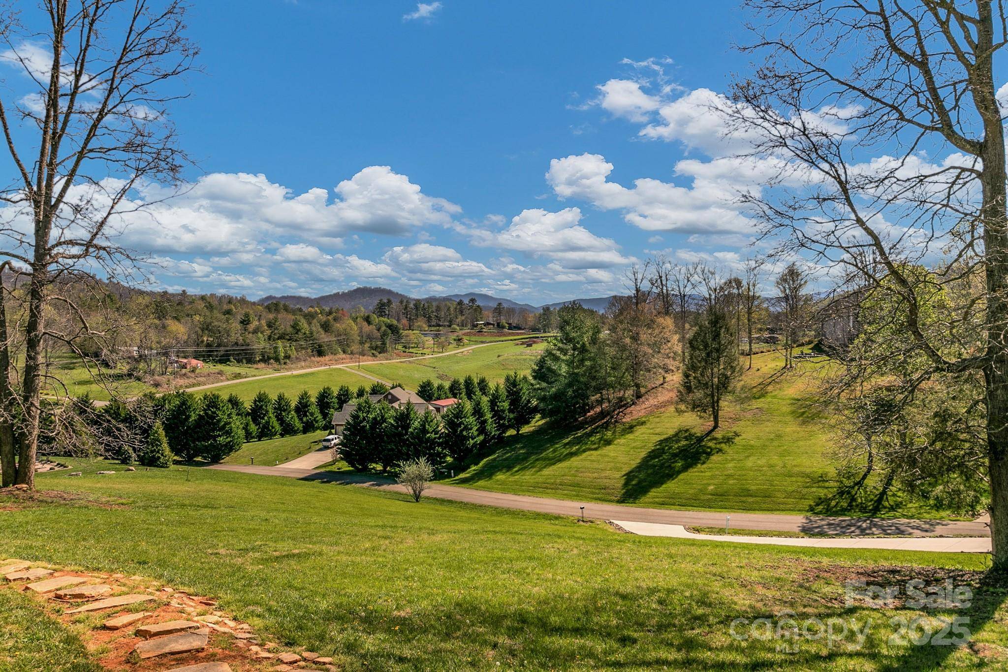Weaverville, NC 28787,21 Willie LN