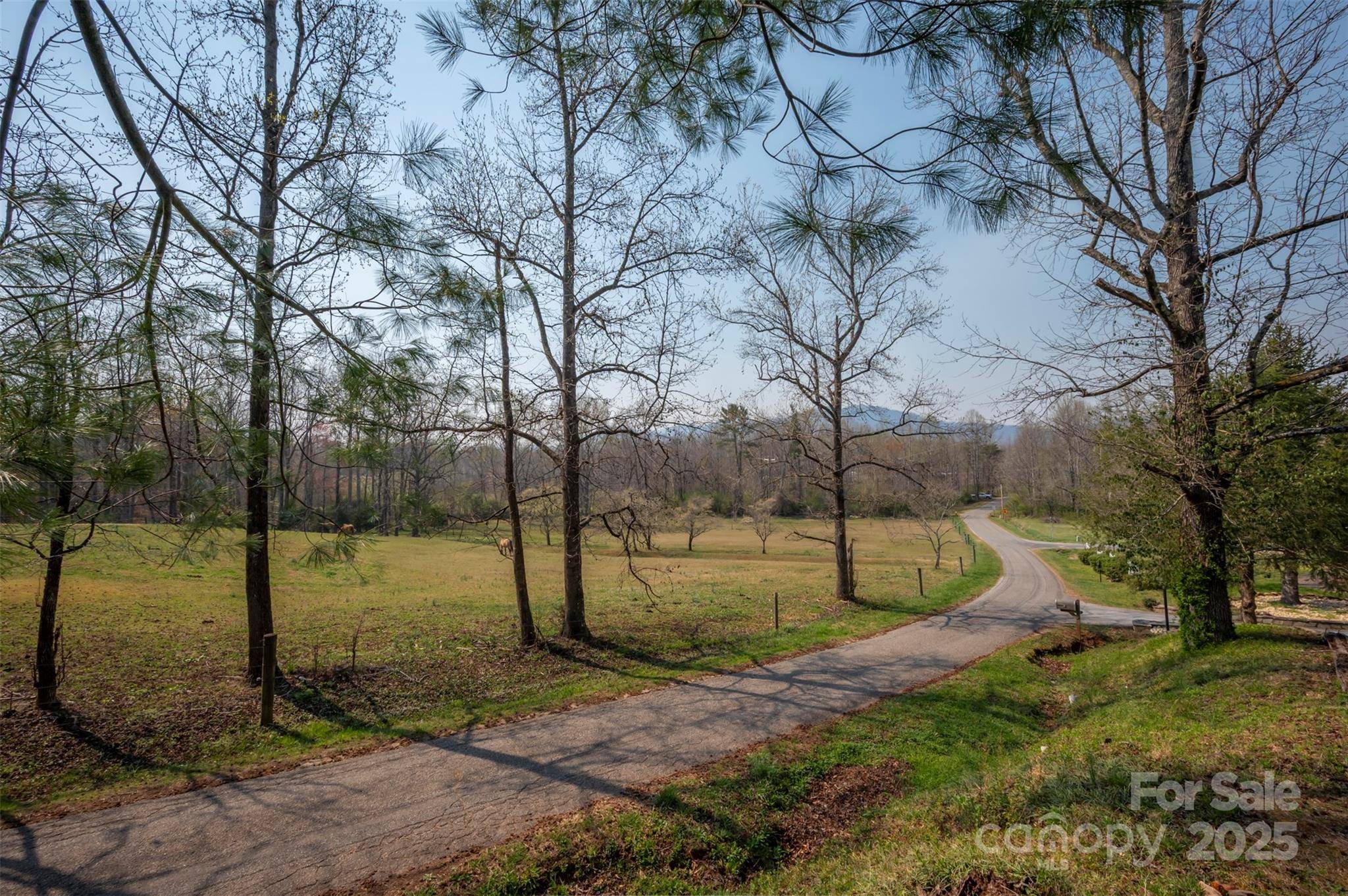 Columbus, NC 28722,163 Woodland DR