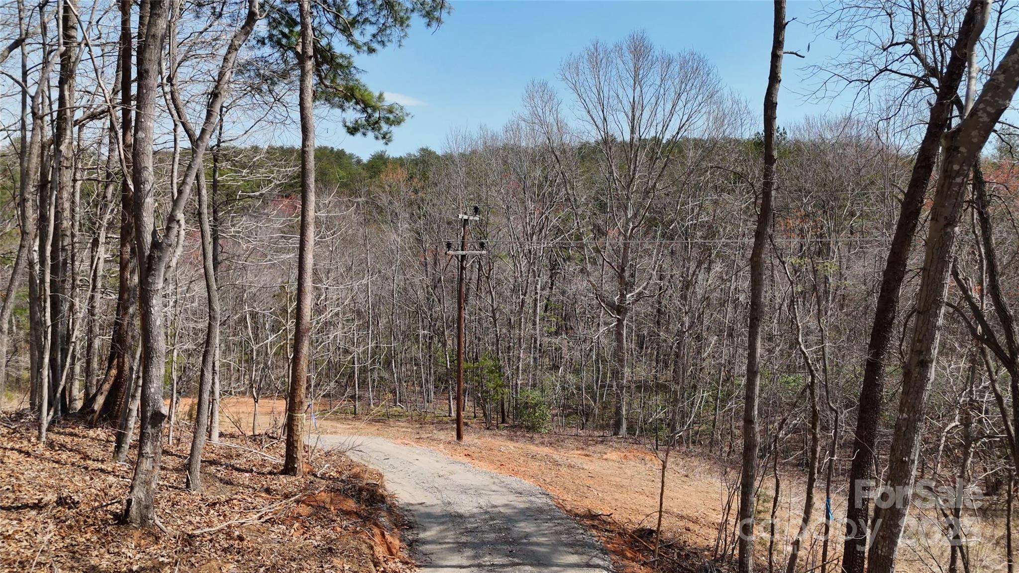Mill Spring, NC 28756,19.75 Acres King Stepp RD