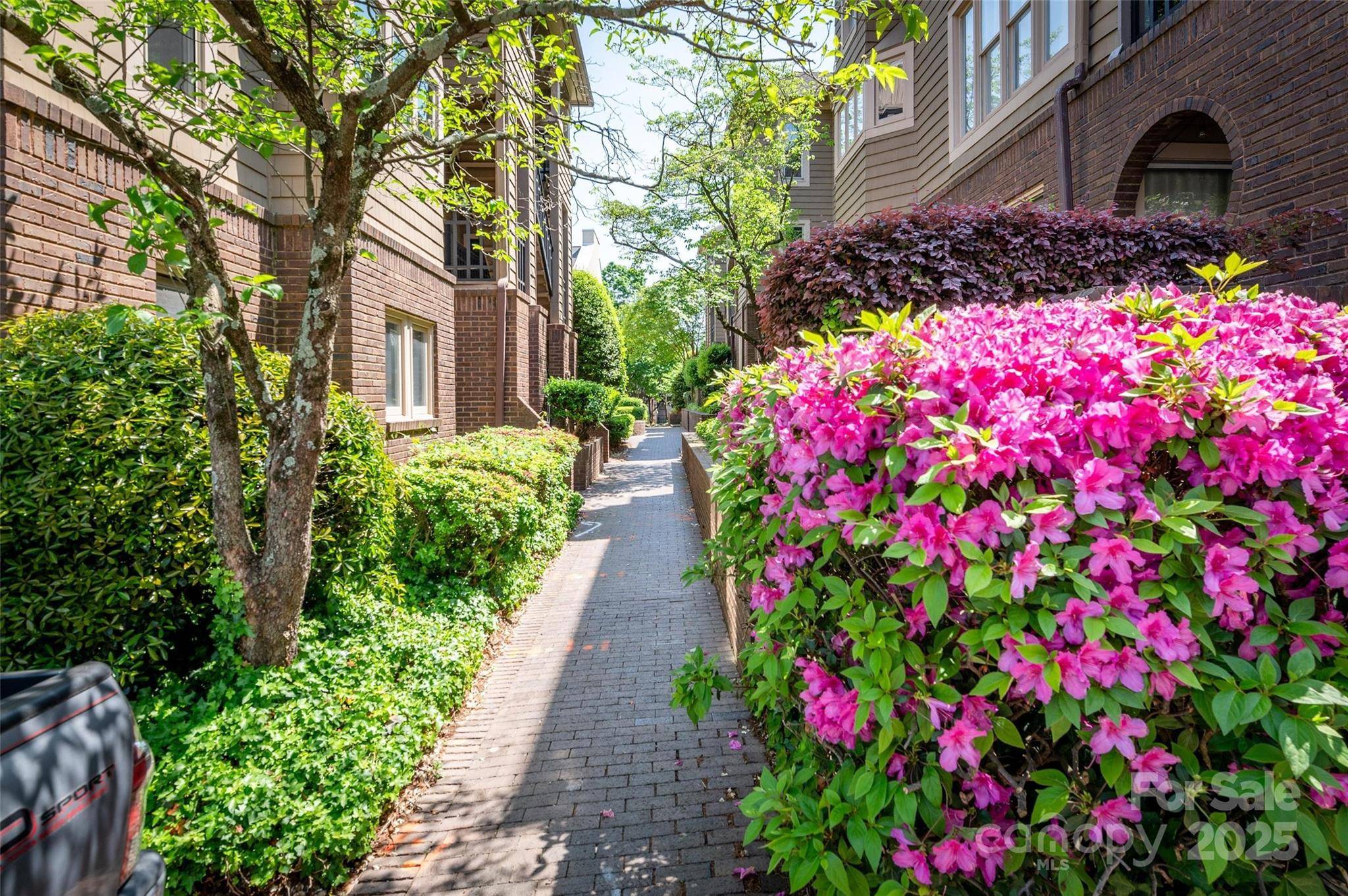 Charlotte, NC 28204,1101 E Morehead ST #31
