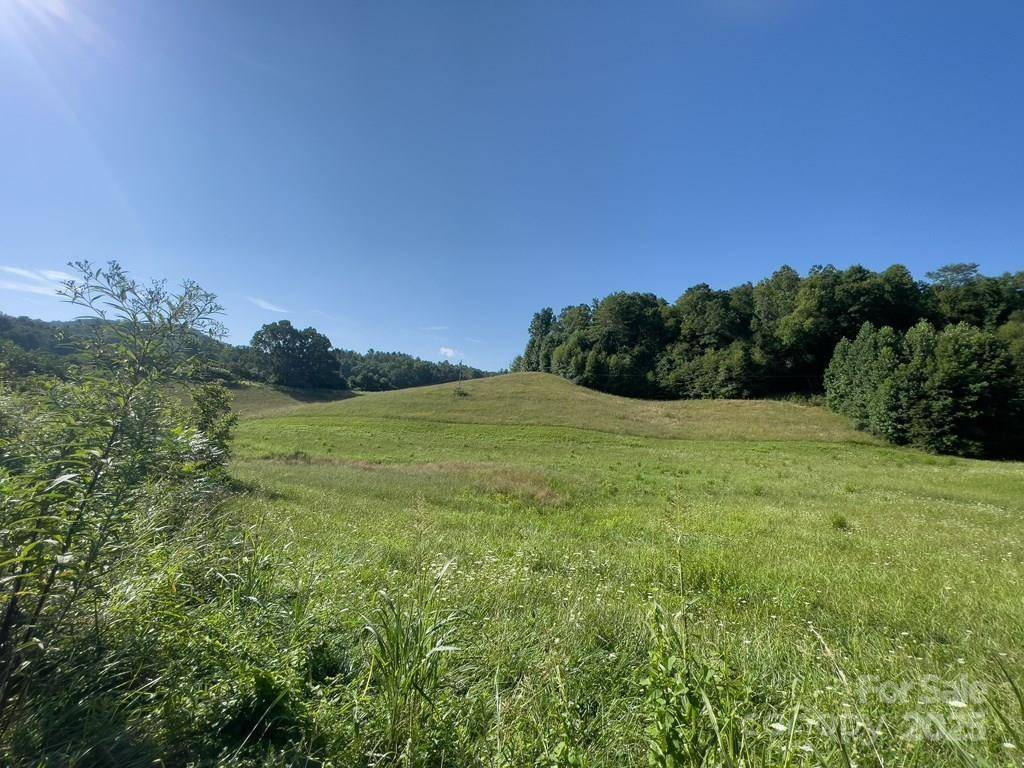 Robbinsville, NC 28771,34 Leonard Davis RD