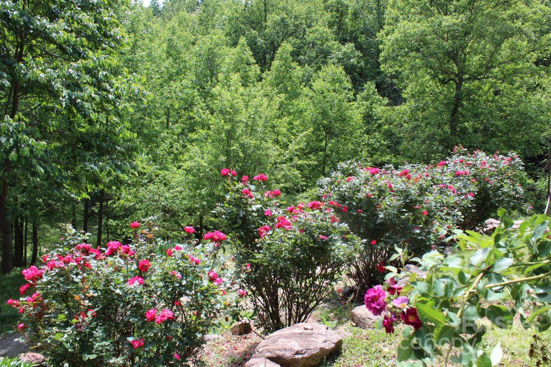 Moravian Falls, NC 28654,337 Roberson School RD