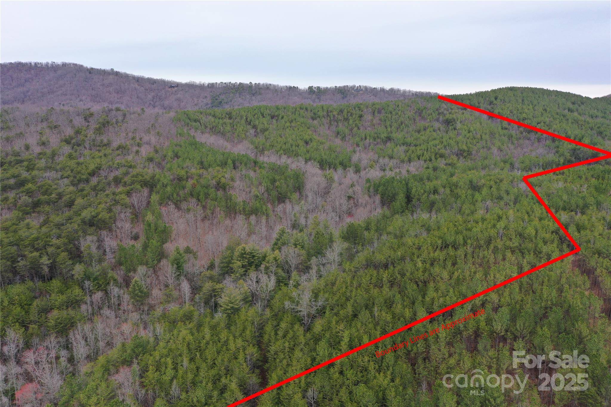 Casar, NC 28020,0 Wards Gap RD