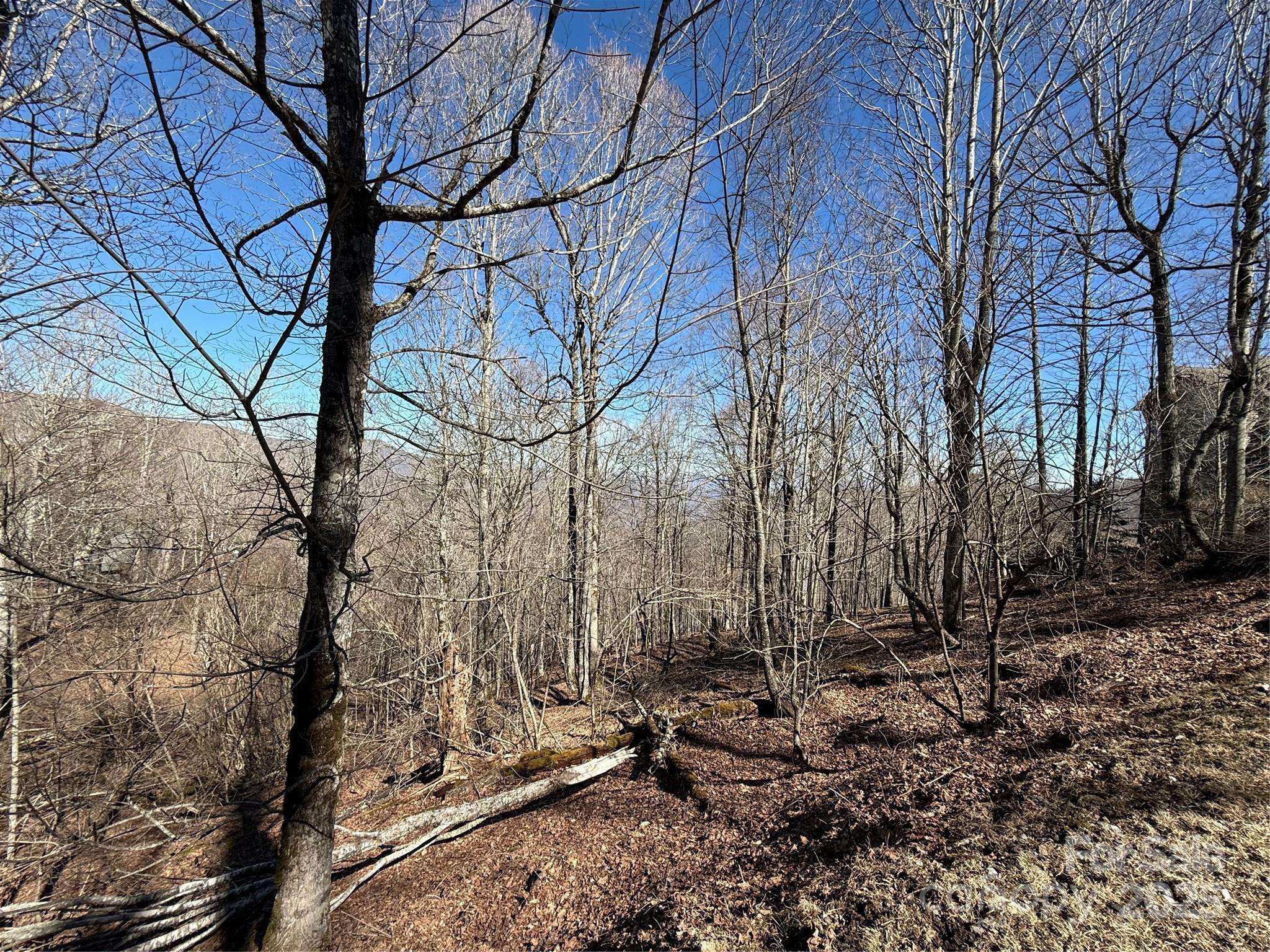 Mars Hill, NC 28754,000 Running Cedar LN #31