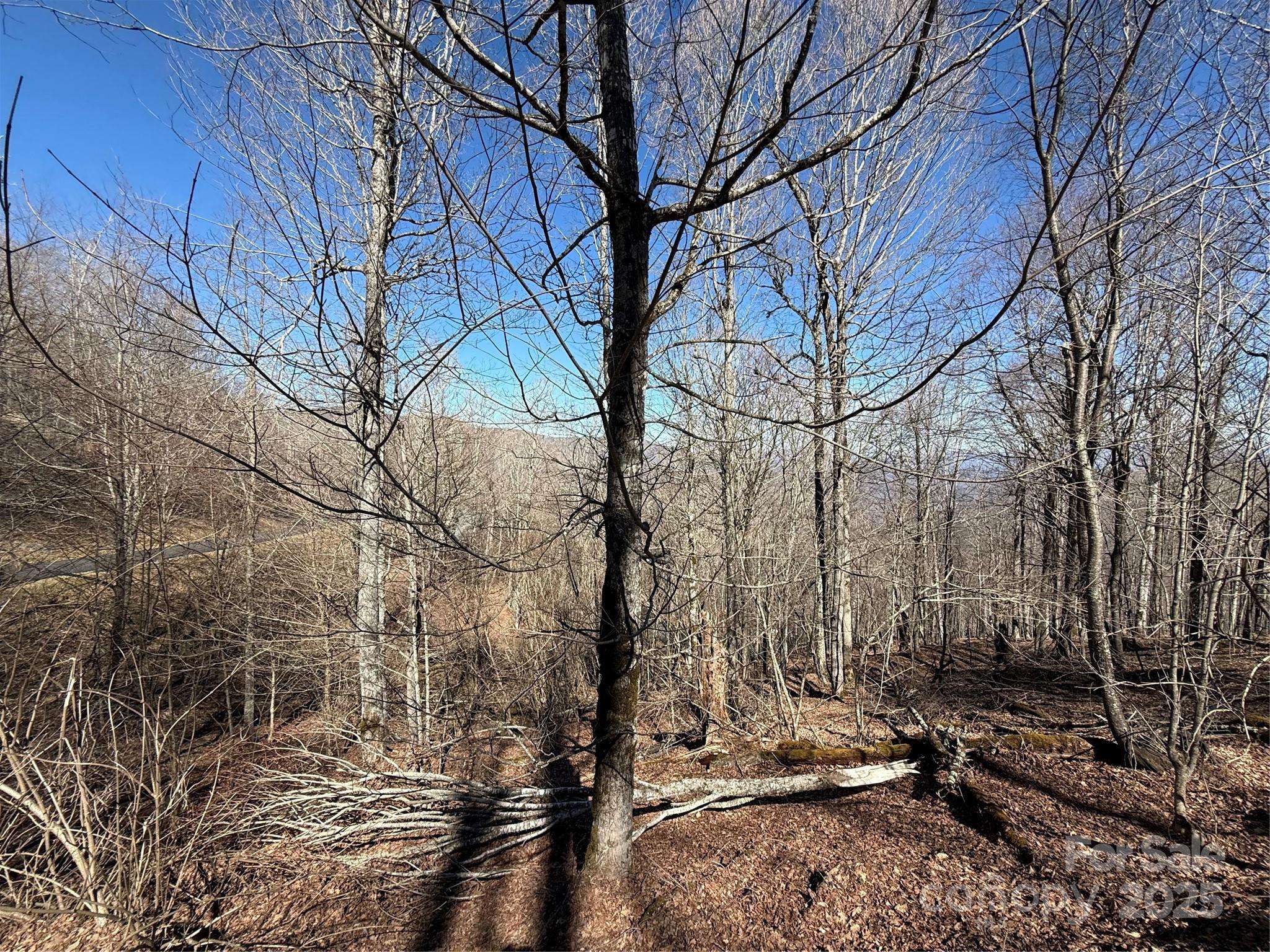Mars Hill, NC 28754,000 Running Cedar LN #31
