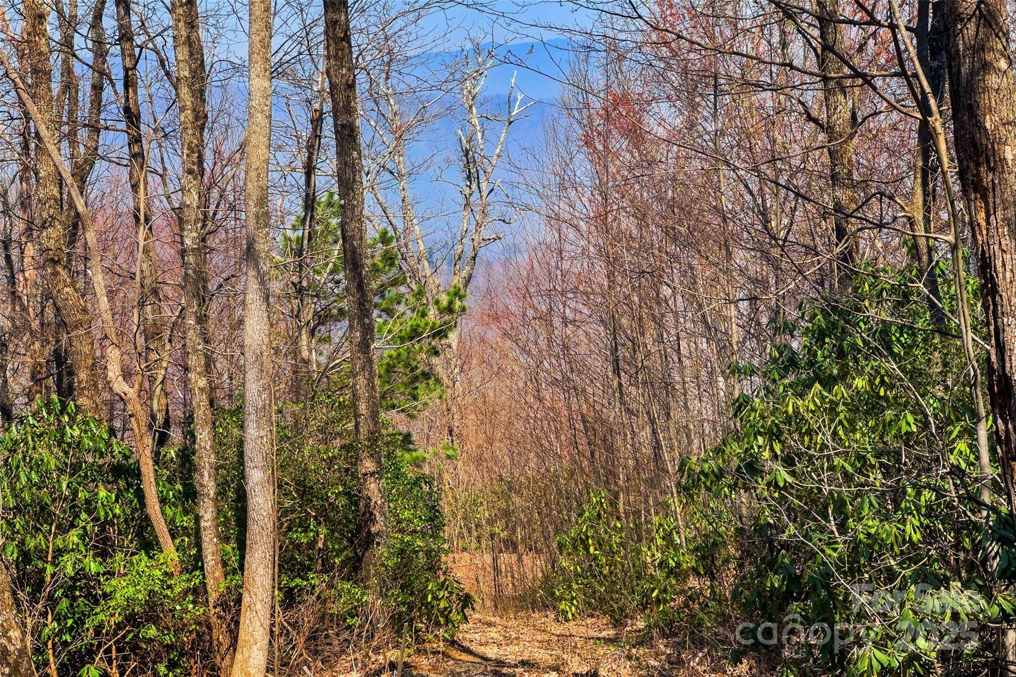 Old Fort, NC 28762,1099 Mitchell View DR #915/915A