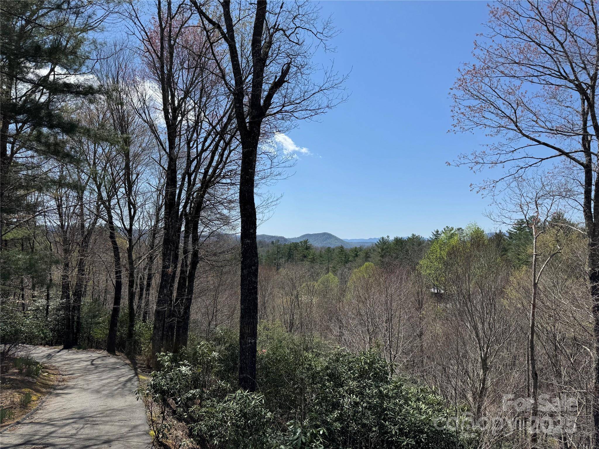 Brevard, NC 28712,193 Dvdisdi CT