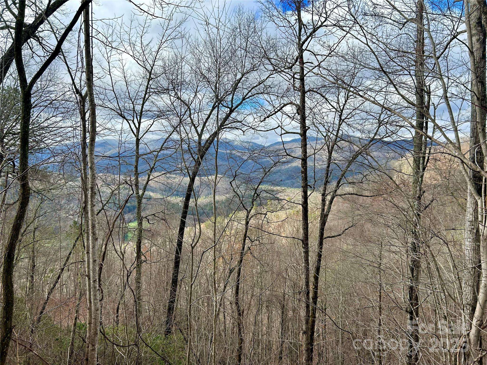 Whittier, NC 28789,0 Maltese WAY #25