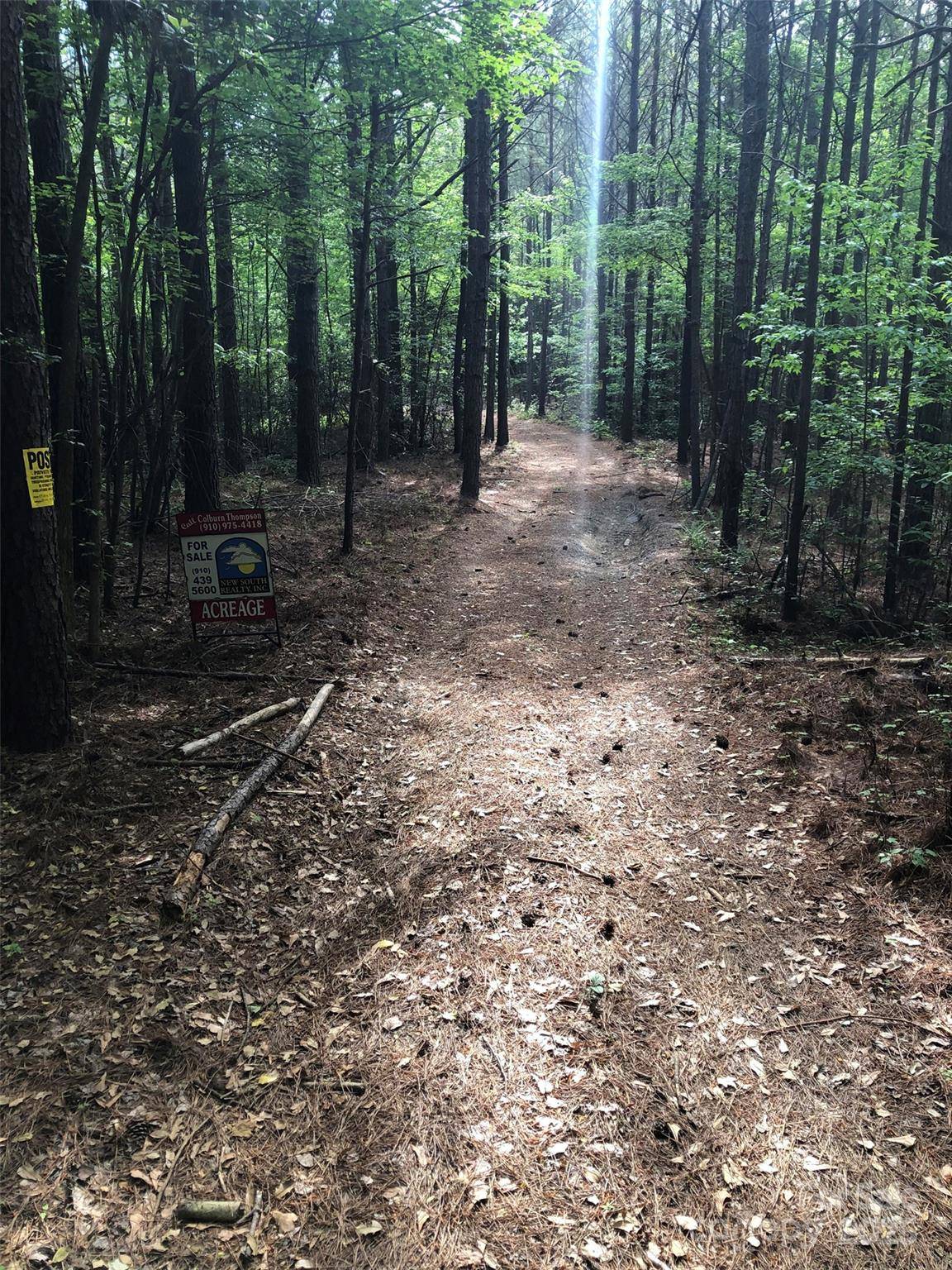 Mount Gilead, NC 27306,70 acres Thickety Creek RD