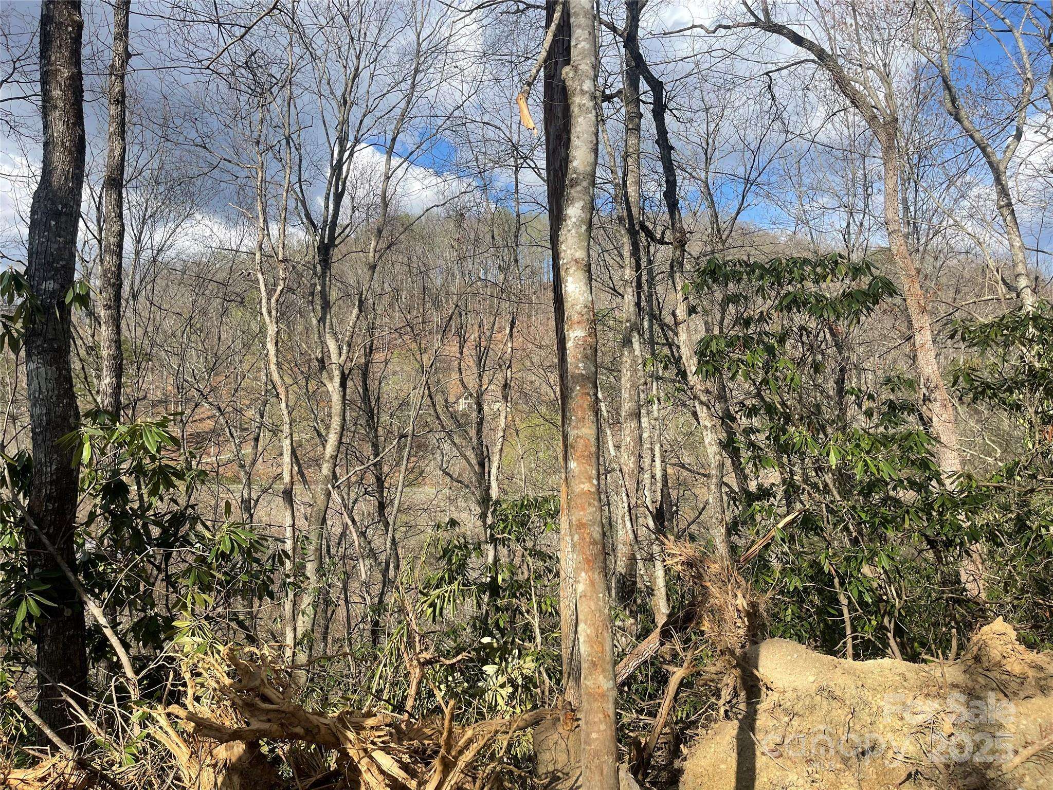 Sylva, NC 28779,5 Copperhead CV