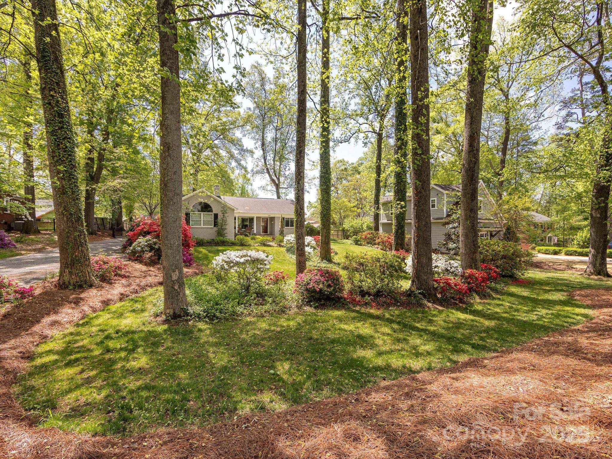 Charlotte, NC 28205,1310 Woodland DR