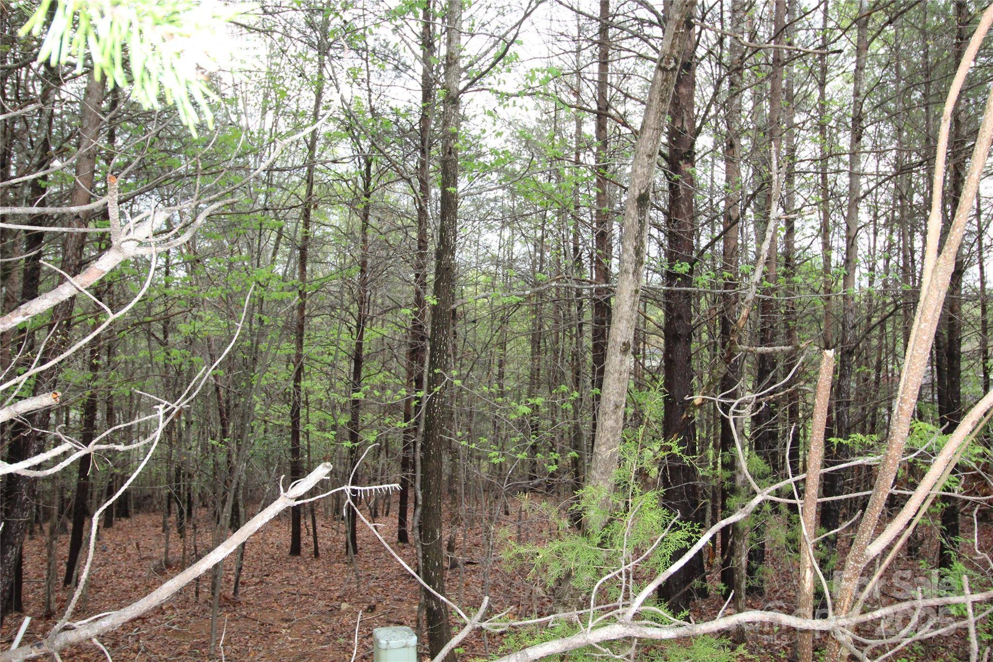 Marion, NC 28752,Lot #10 Ridge WAY #Lot 10