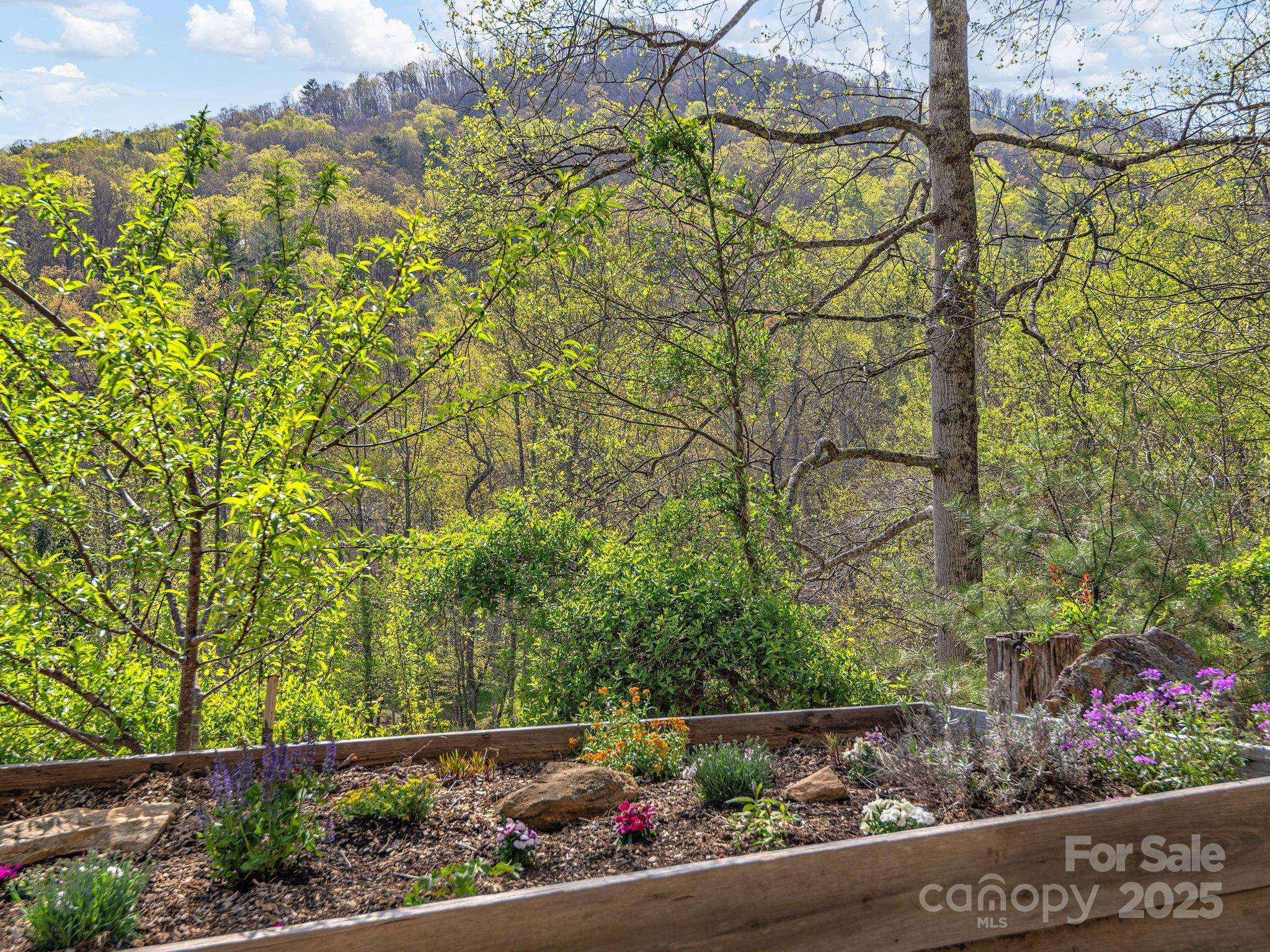 Asheville, NC 28805,25 Frontier CT