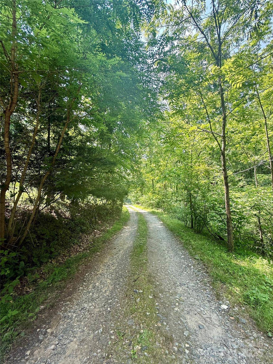 Mars Hill, NC 28754,700 Wooded Mountain TRL