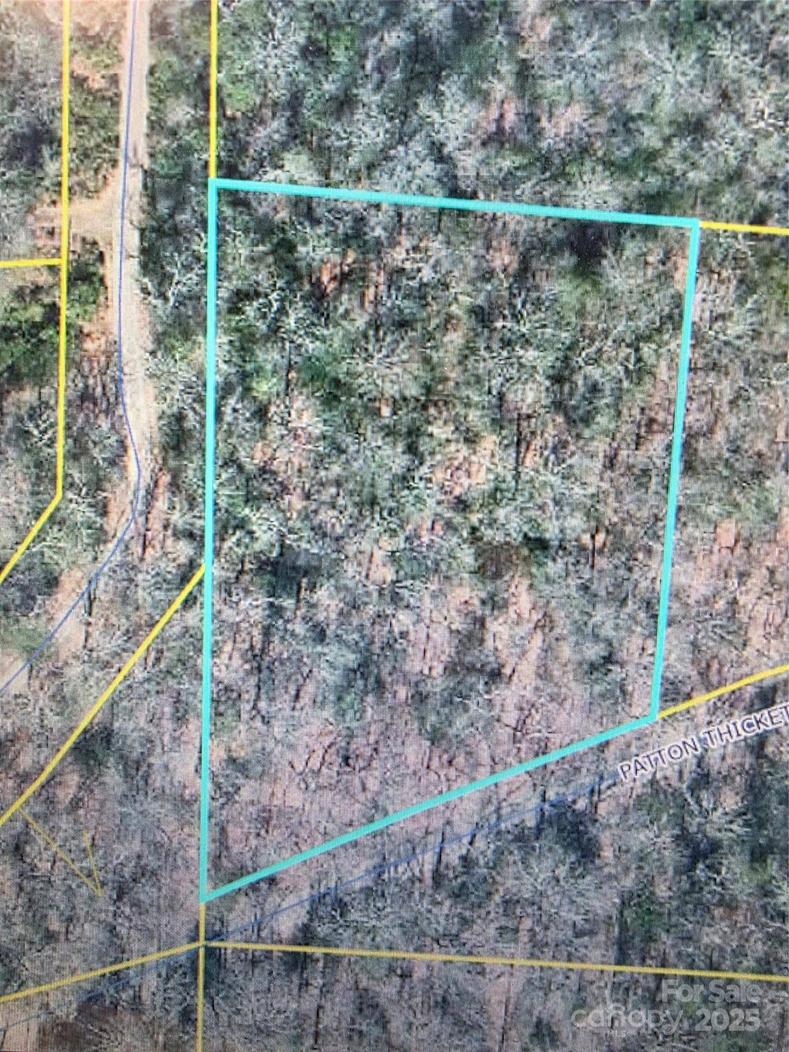 Burnsville, NC 28714,Lot 12 Patton Thicket RD