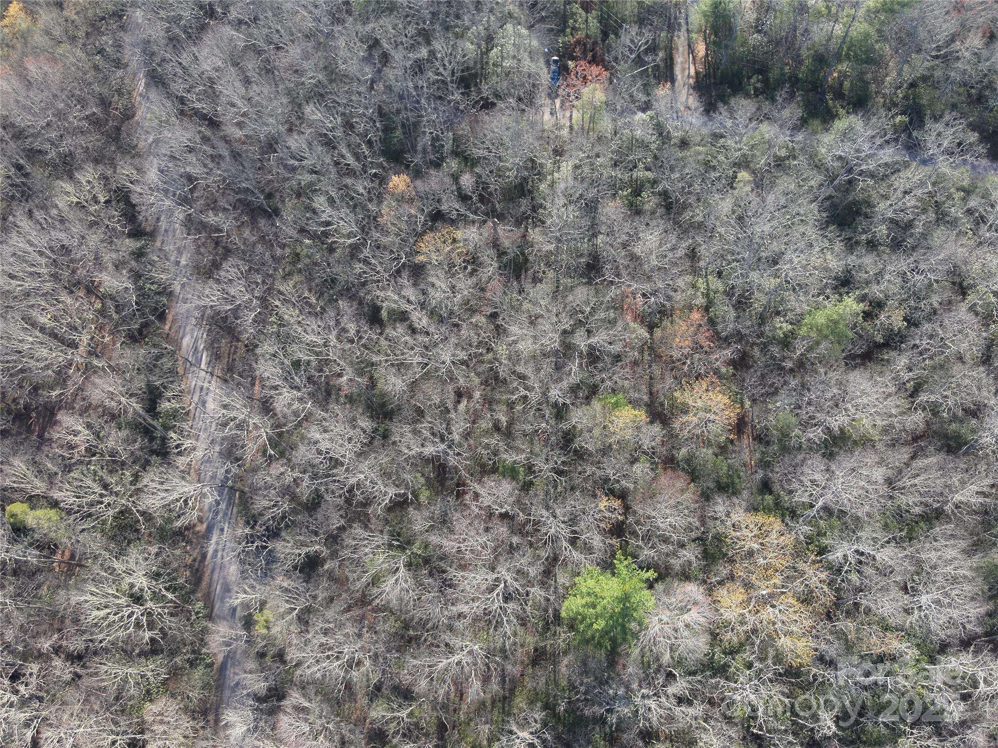 Burnsville, NC 28714,Lot 12 Patton Thicket RD