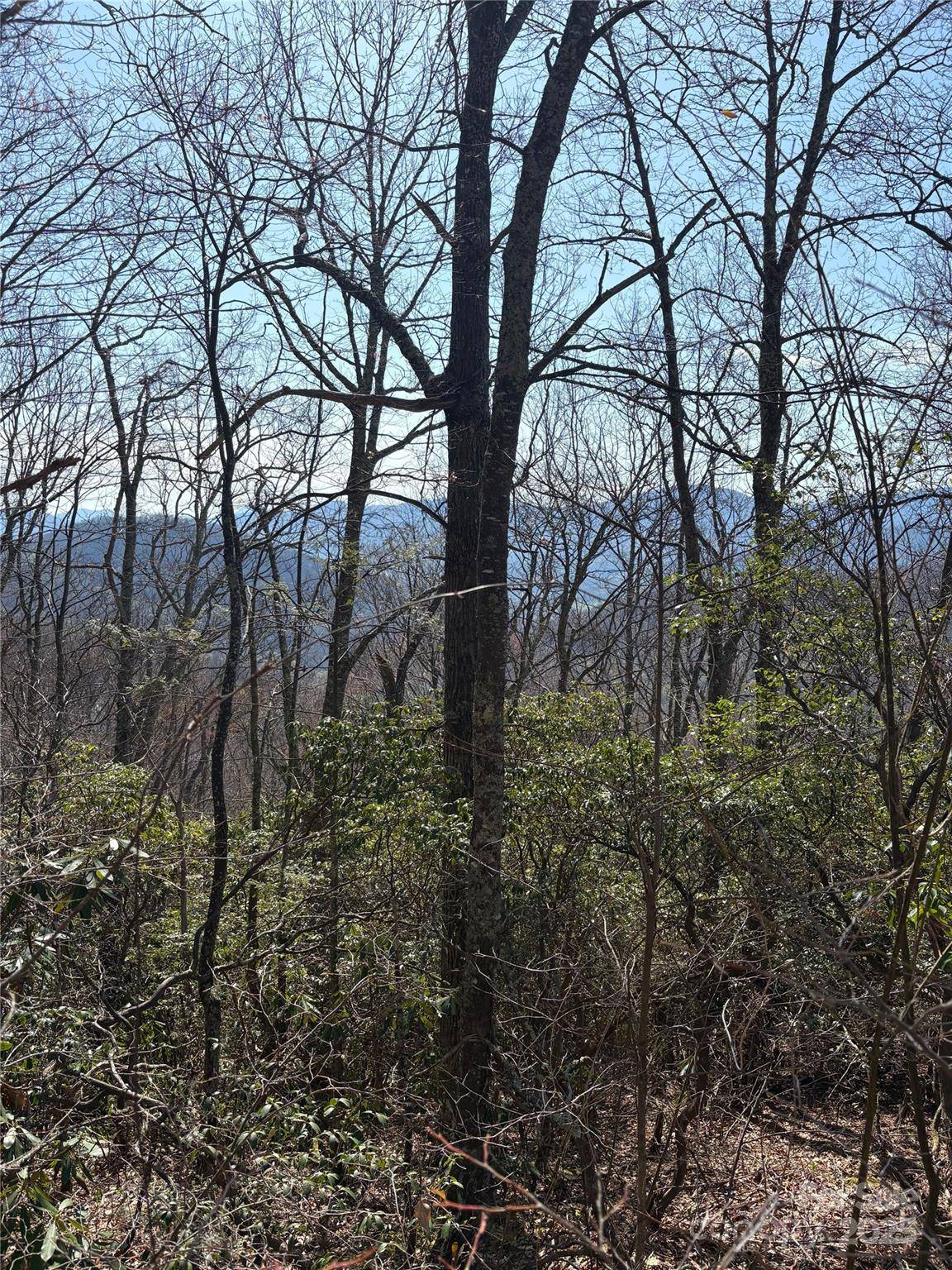Waynesville, NC 28786,TBD Running Deer TRL #287