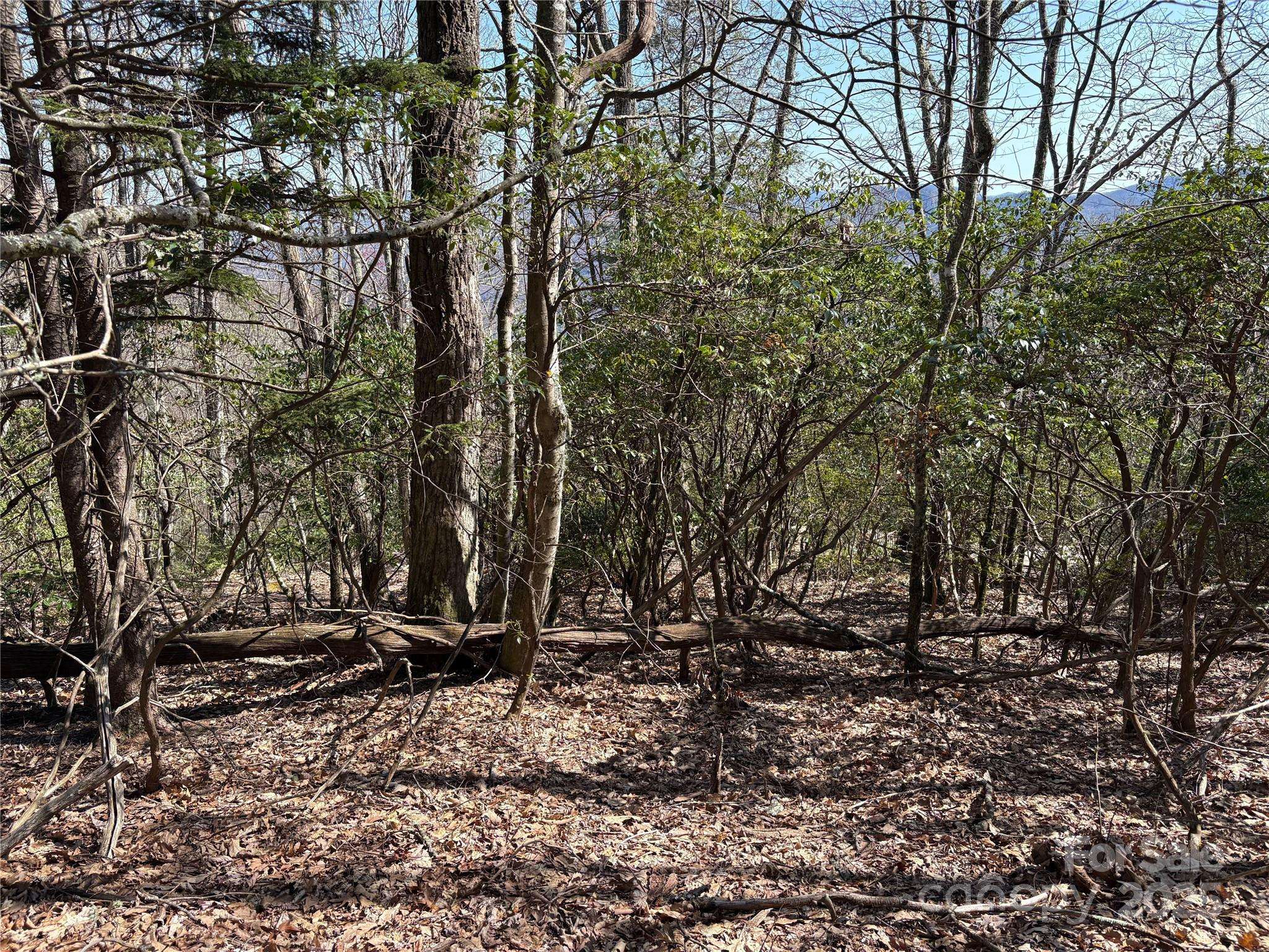 Maggie Valley, NC 28751,TBD Leatherwood RD #24B