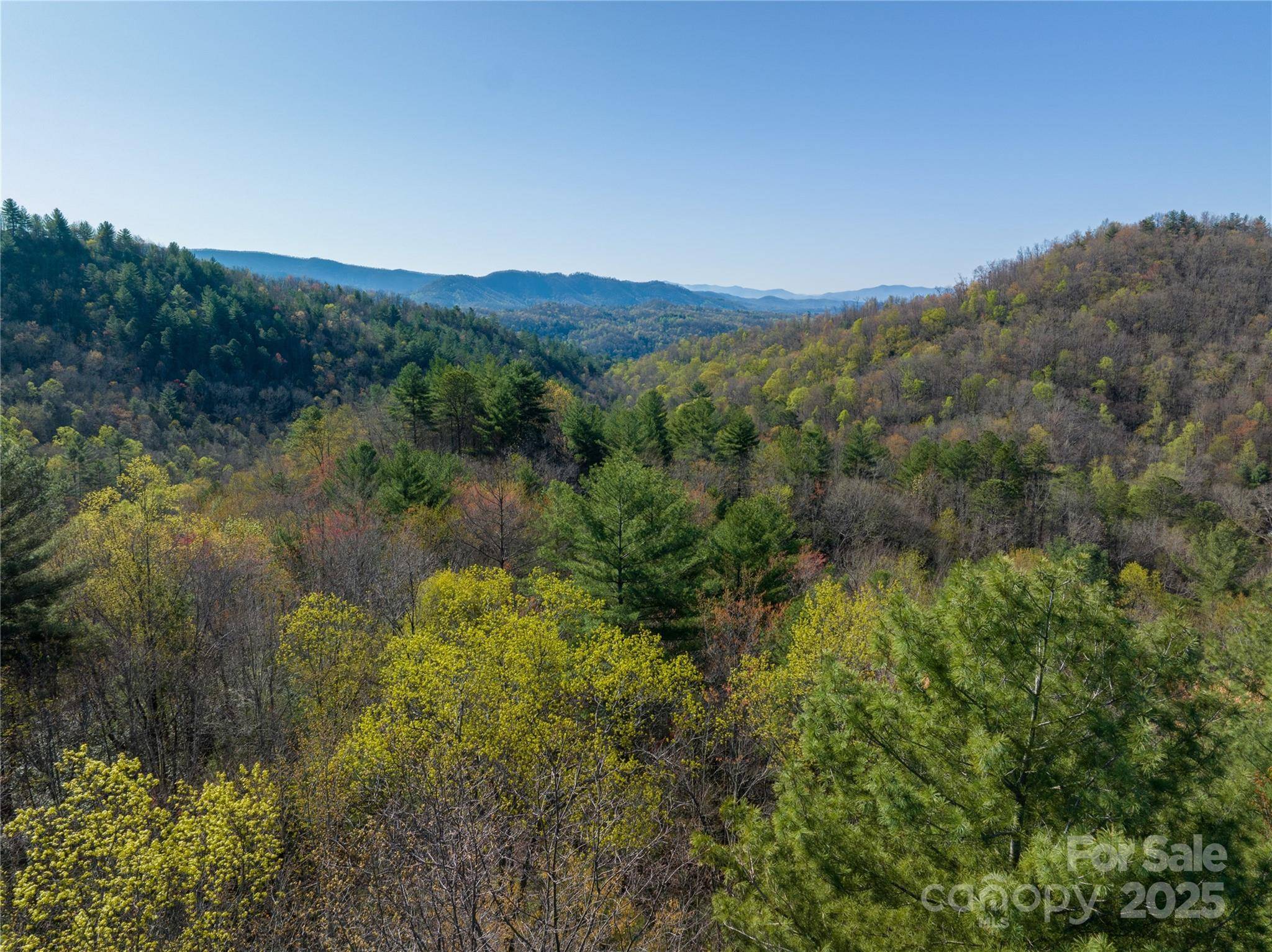 Marble, NC 28905,TBH Alf Branch DR